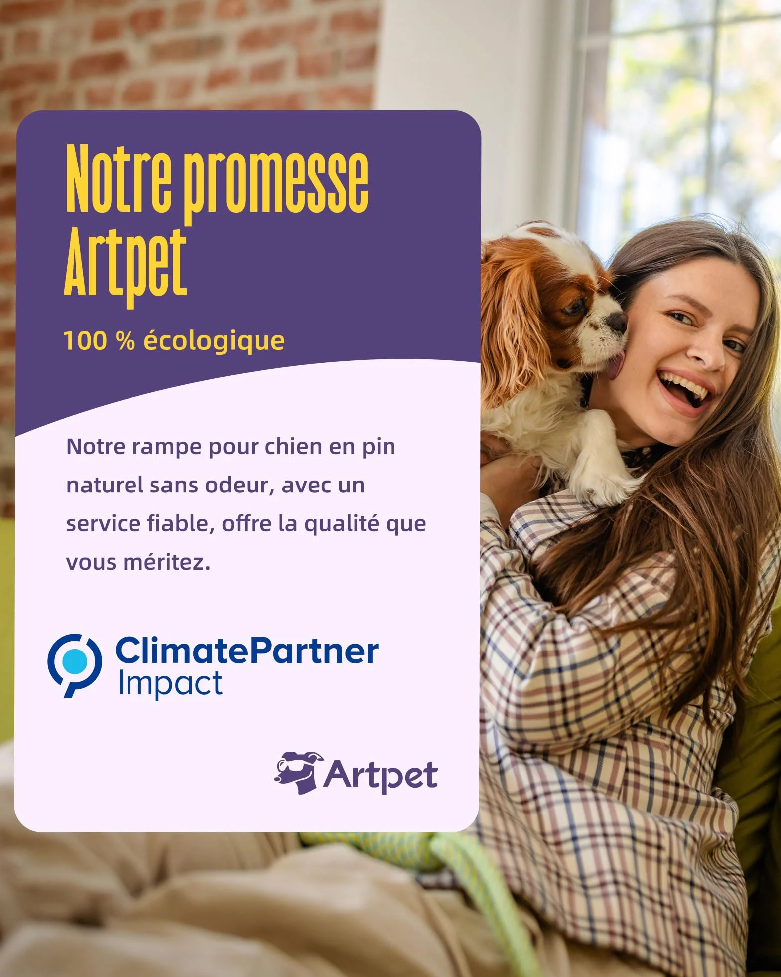 Rampe pliable antidérapante pour chien, hauteur réglable, supporte jusqu'à 15,9 kg