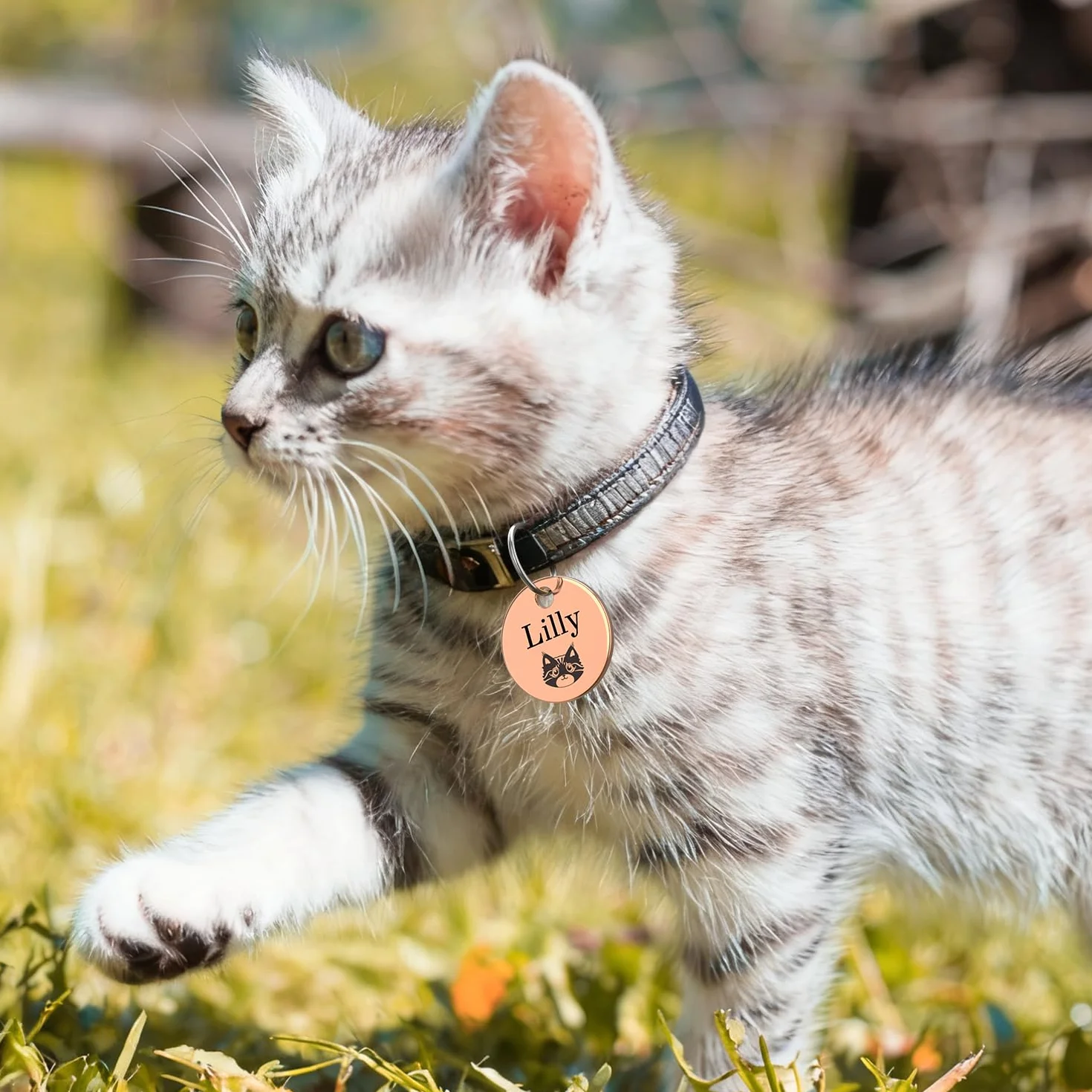 Médaille d'identification double face personnalisée en acier inoxydable poli pour chien et chat