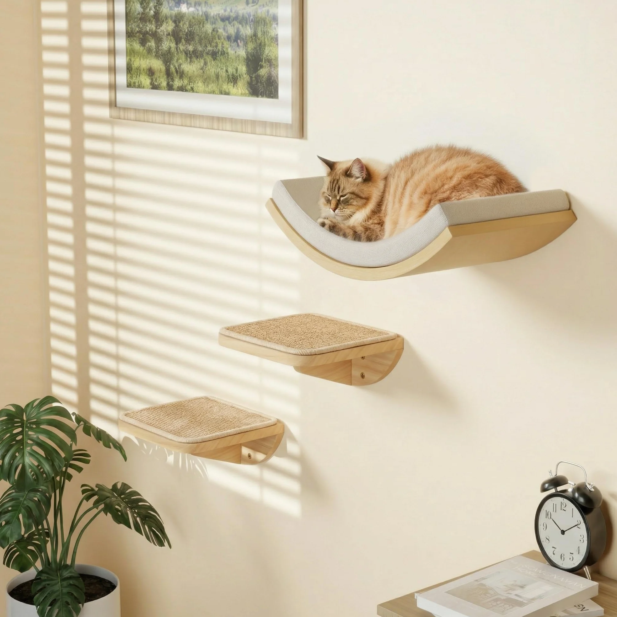 Lot de 3 escaliers muraux pour chat avec 2 marches d'escalade et plates-formes incurvées - En bois - Pour escalade, jouer, dormir