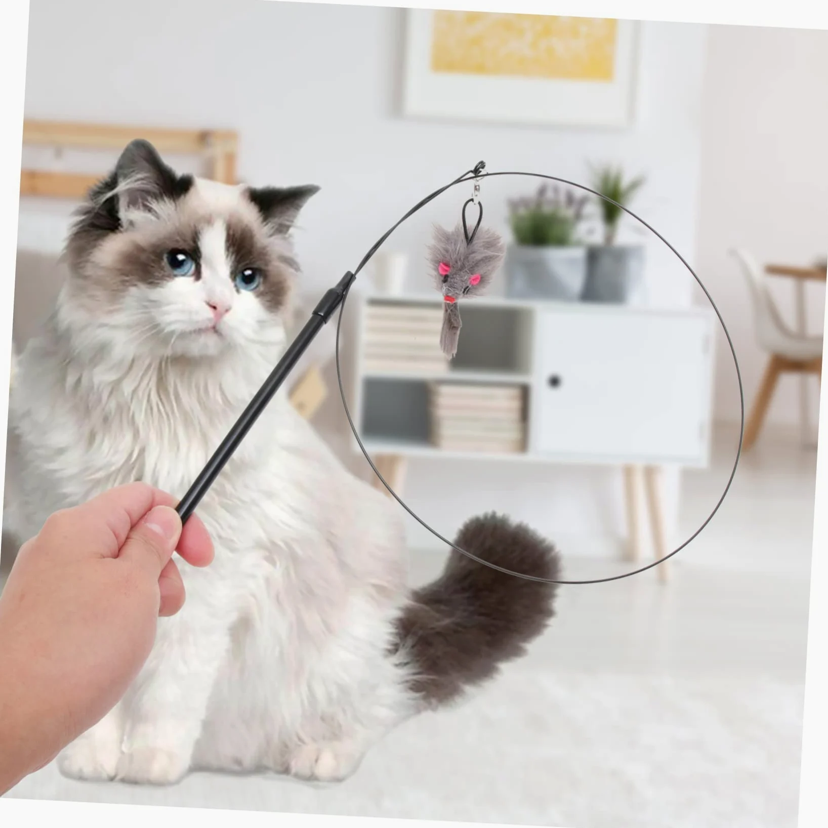 Sosoport Jouets Interactifs pour Chats Jouets pour Chatons De Interactif Ventouse pour D'Aspiration De De De avec Ventouse