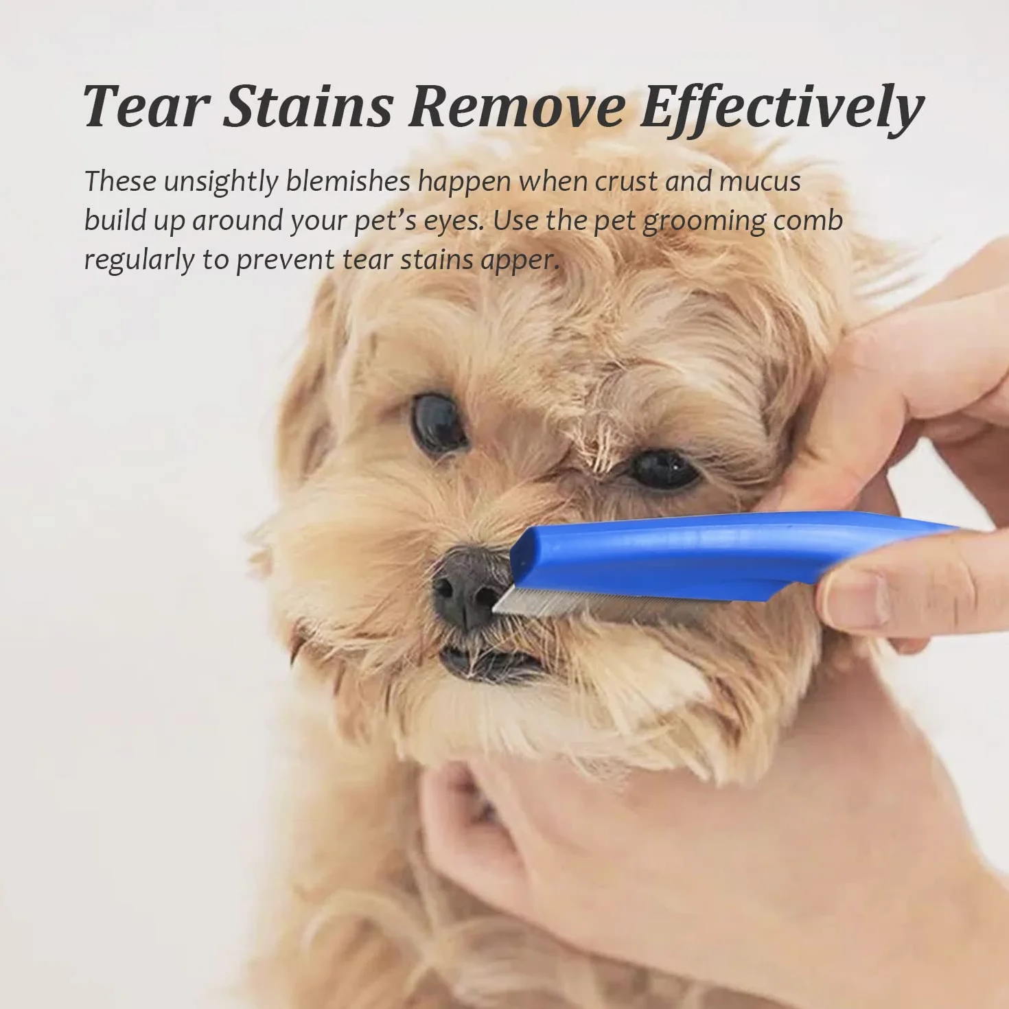 Peigne à Poux pour Chats et Chiens - Outil de Toilettage Anti Puces pour Nettoyer Tangles et Saleté - Bleu