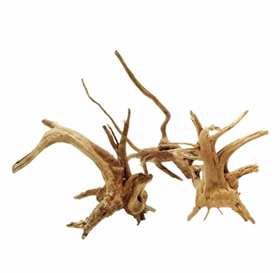 Bois Flotté Aquarium Décoration Branche Naturelle Tronc 8-10cm Reptiles Fish Tank Ornement