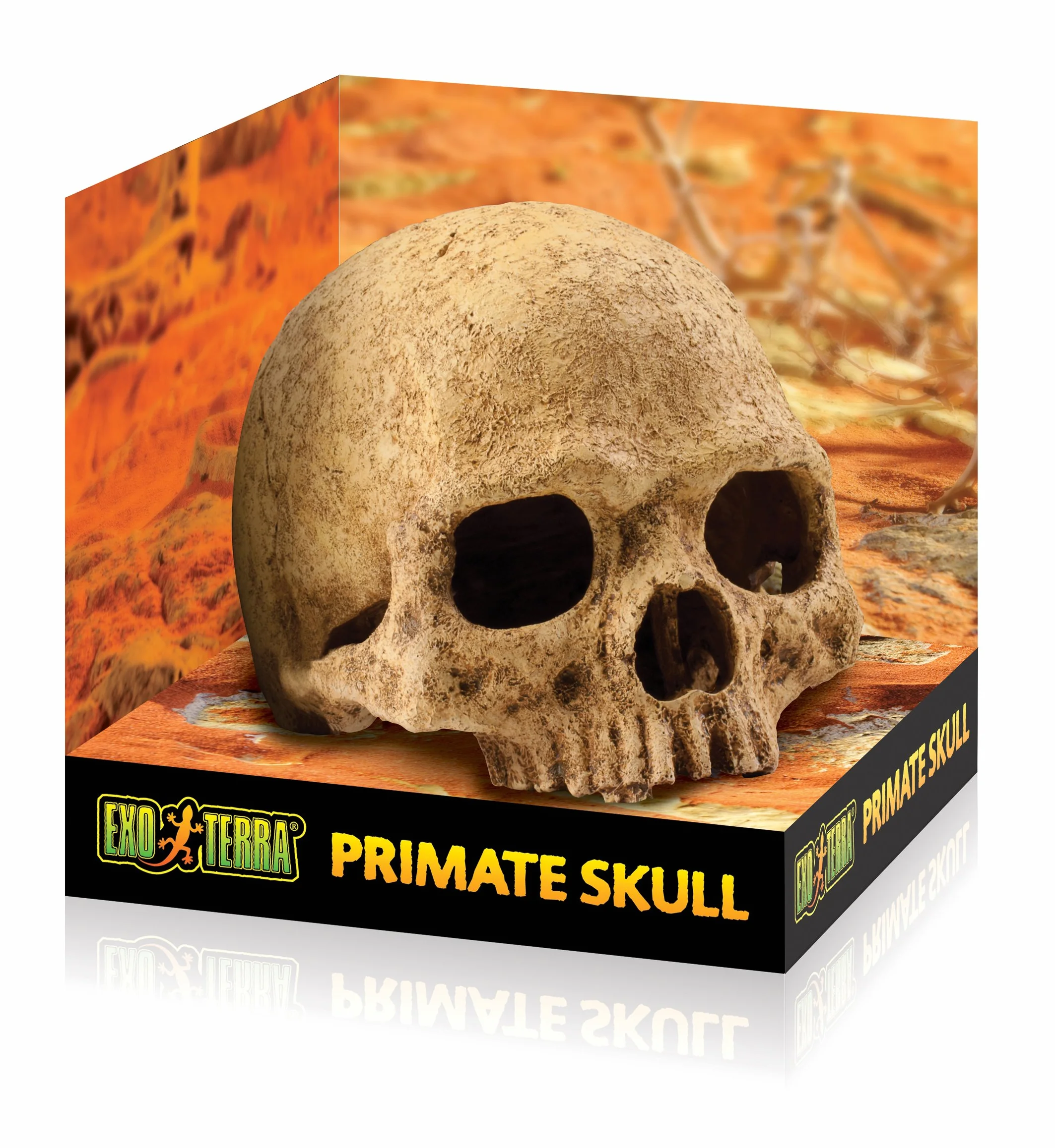 Exoterra Décoration Primat Skull pour Reptiles et Amphibiens 15x16x16 cm