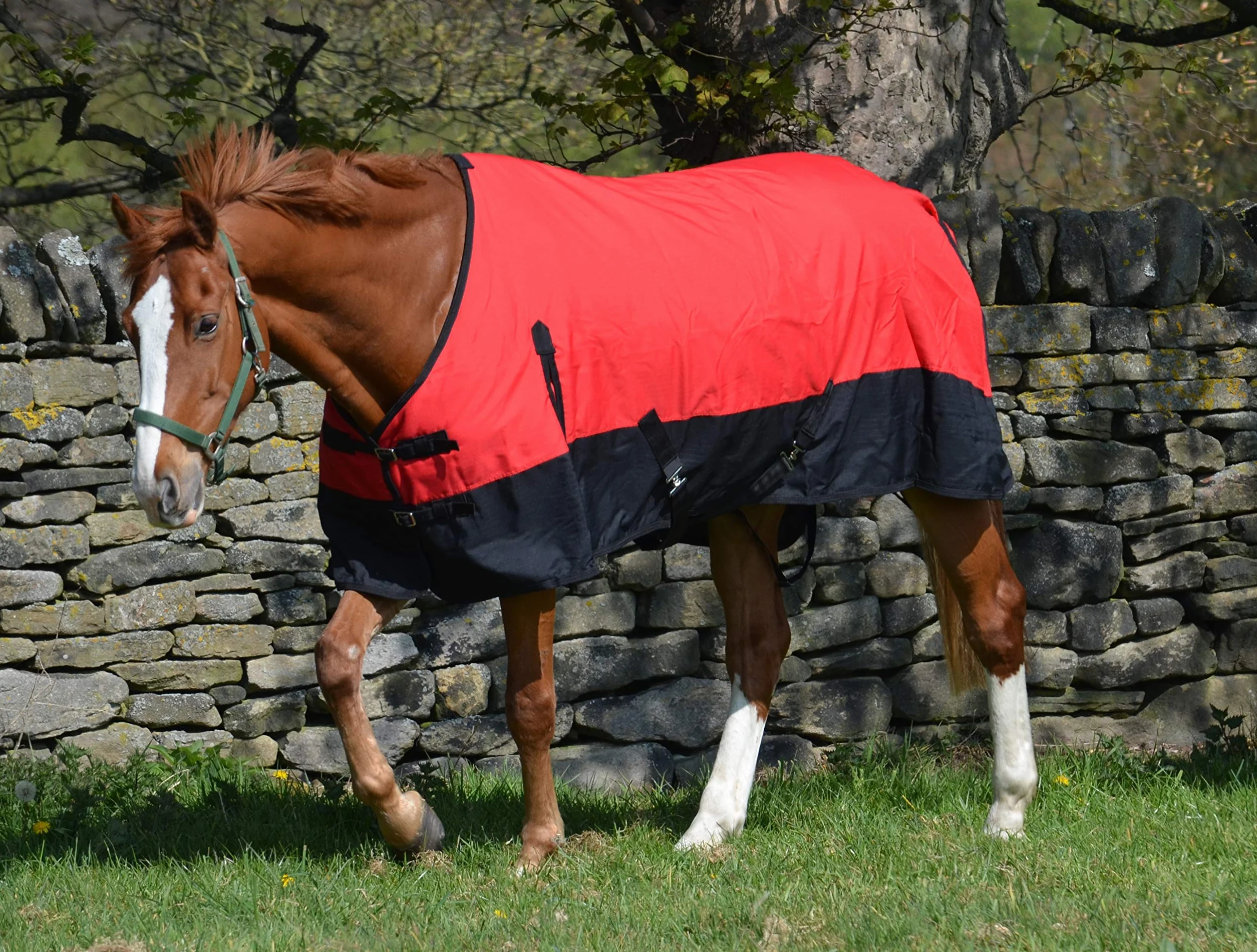 600d - Tapis imperméable léger pour cheval (100 g, col standard, 100 g)