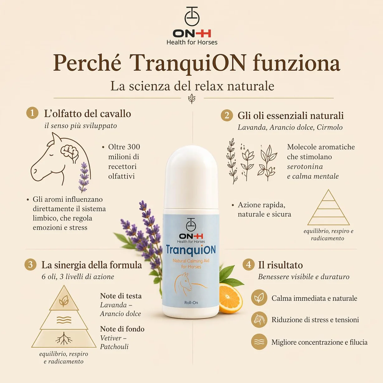 ON-H TranquiON Roll-On pour Chevaux | Gel Apaisant Naturel | Application Localisée Roll-On | Idéal avant Transport, Compétition et Entraînement | Apaisant sans Sédation | Usage Quotidien