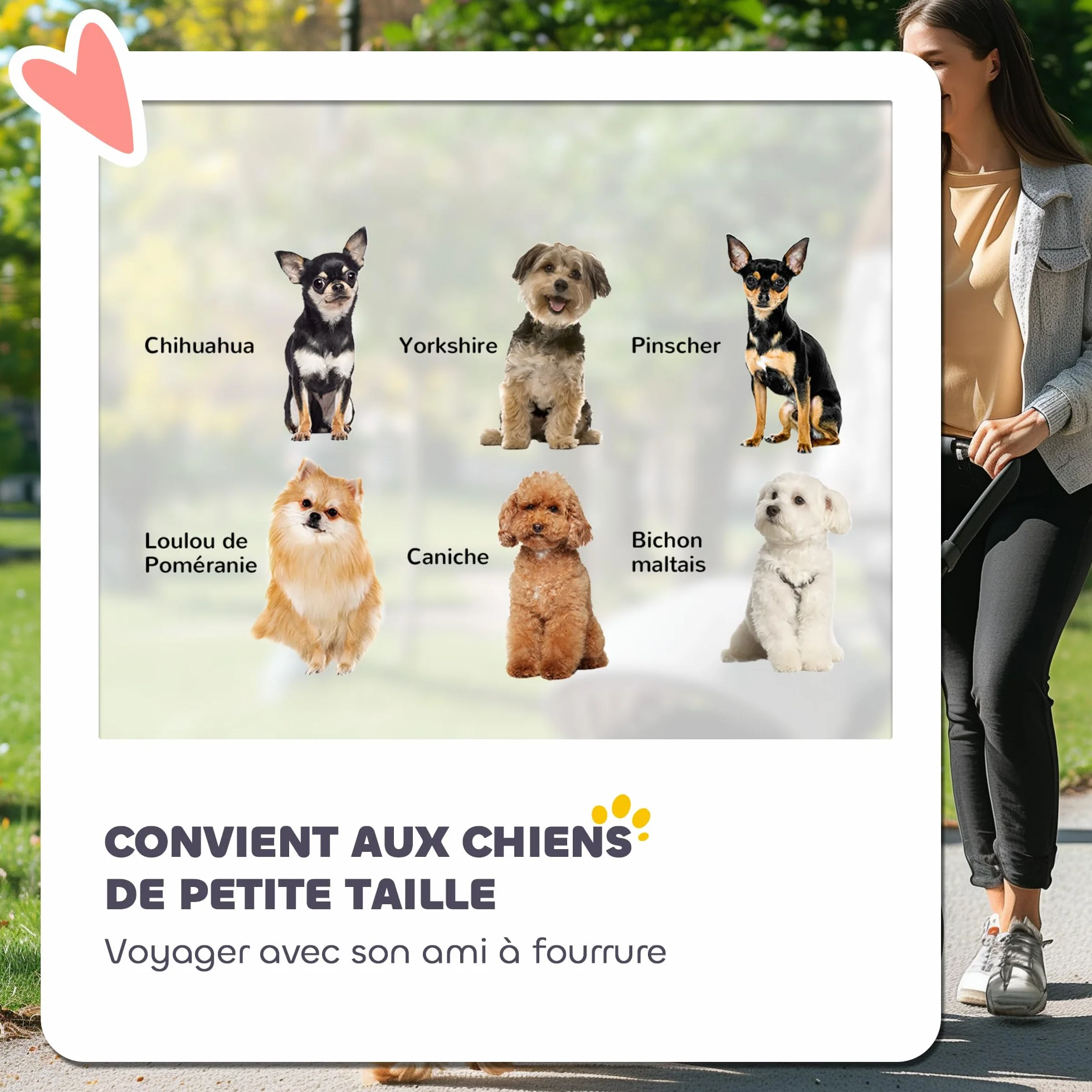 PawHut Poussette chien 4 roues pliable légère charge 4 kg gris clair