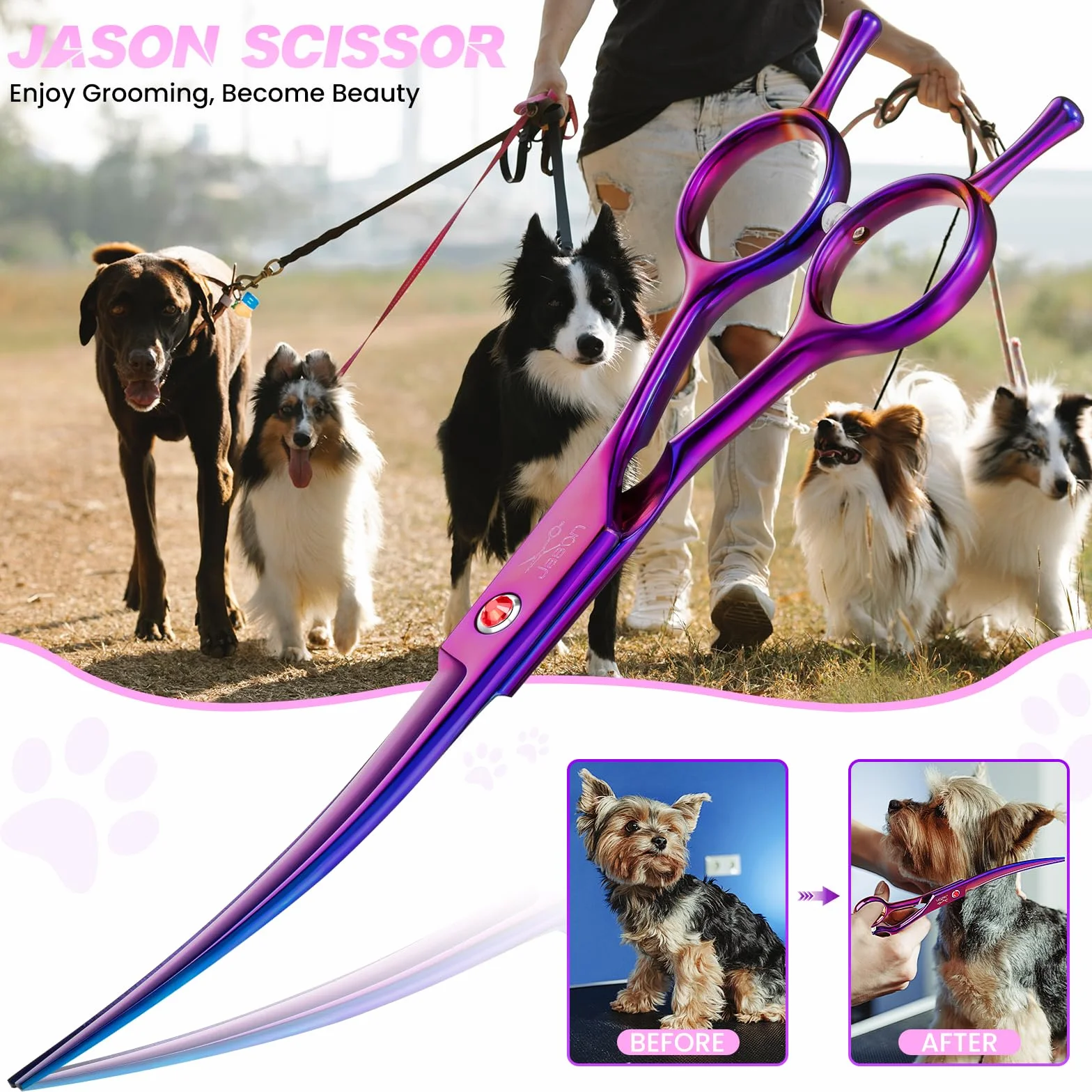 JASON Ciseaux Professionnels Courbes pour Chiens et Chats - 7,5" à Fourrure pour Animaux de Compagnie (Courbes Vers le Haut, Violet)