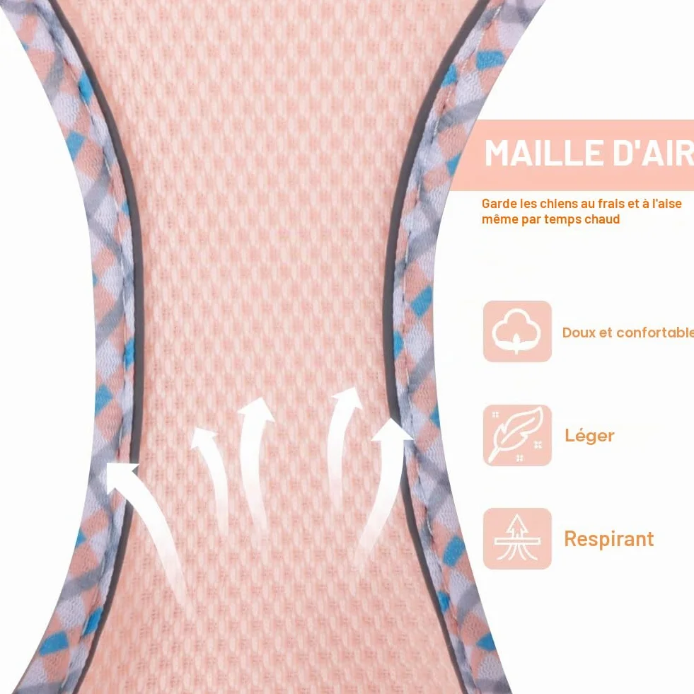 Harnais pour Chien Petite et Moyenne Taille, Harnais et Laisse pour Chiot, Maille Réfléchissante Respirable, Gilet Rembourré