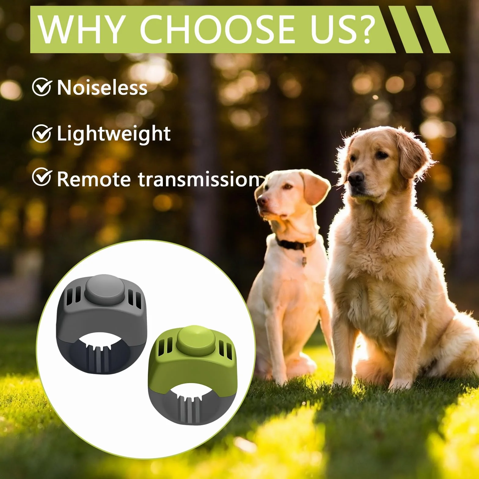 2 Clicker Chien Dressage avec Anneau 19mm/21mm, Clicker pour Chien en Vert & Gris, Clicker Chien pour Dressage Chiot, Éducation & Rappel