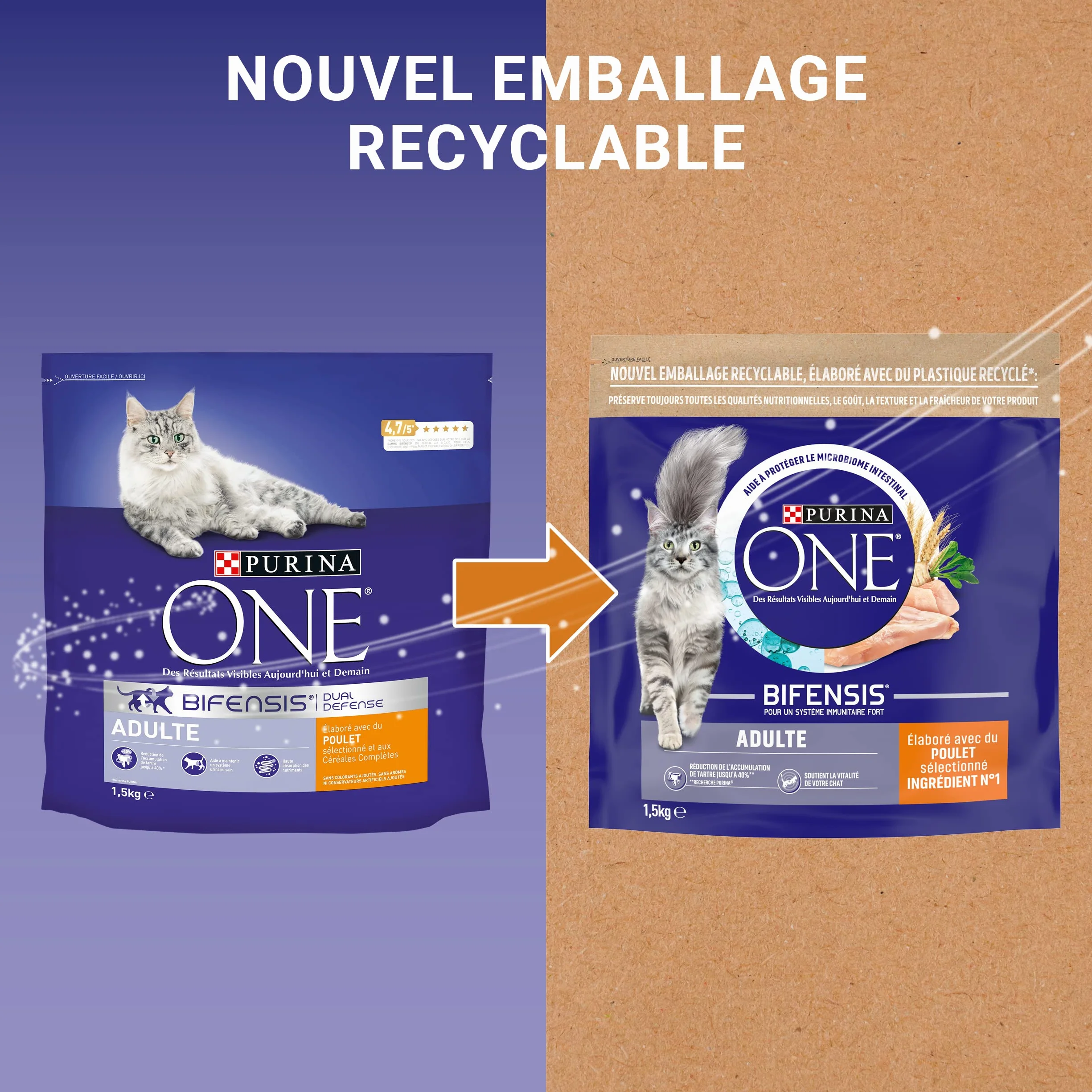 PURINA ONE BIFENSIS Croquettes Chat Adulte Poulet Lot 6 x 1,5kg