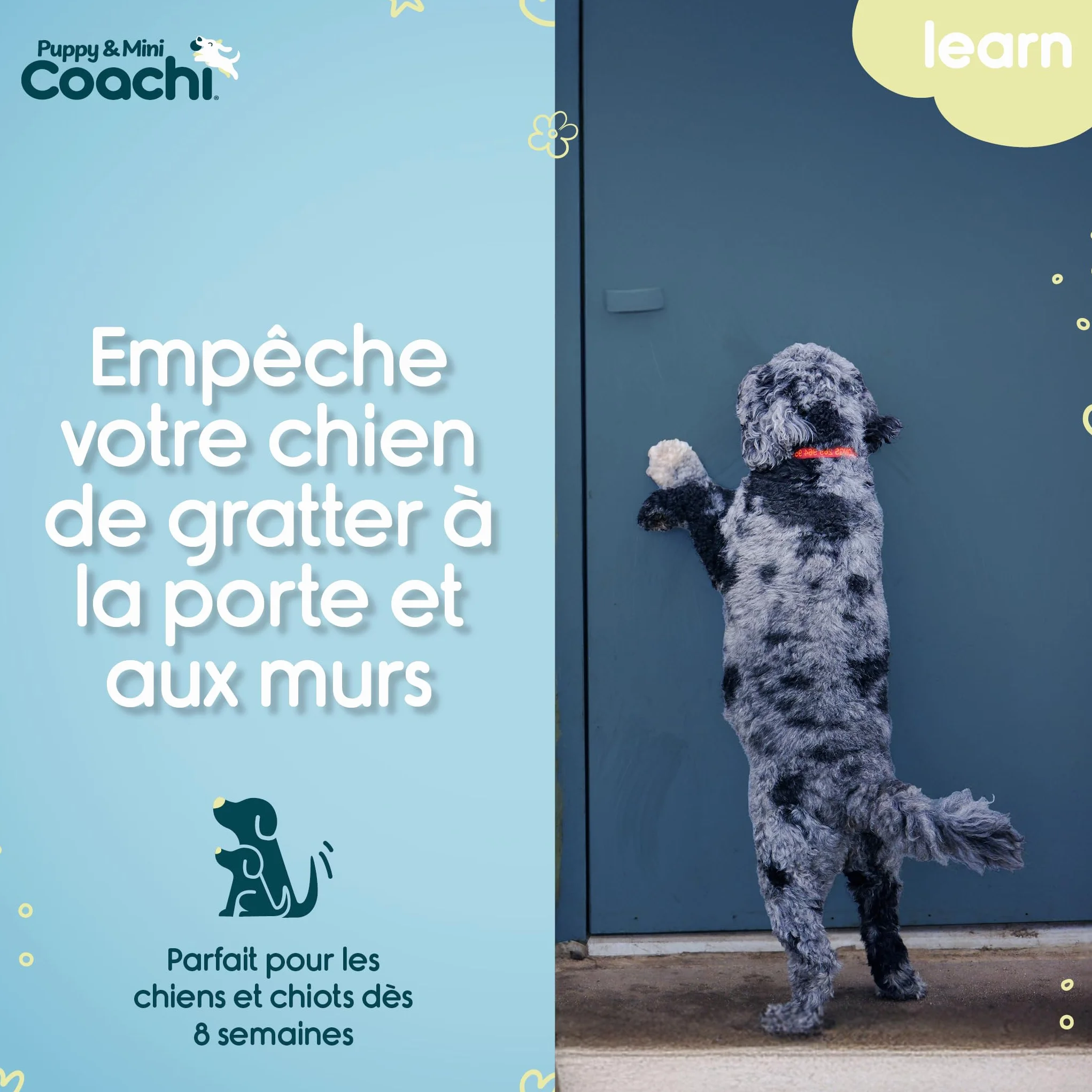 Coachi Toilet Training Bells pour Chiots et Nouveaux Chiens. Éducation à la Maison, Stop grattements aux Portes, faciles à Utiliser et Entendre, réglable. Accessoire idéal pour Dressage au clicker