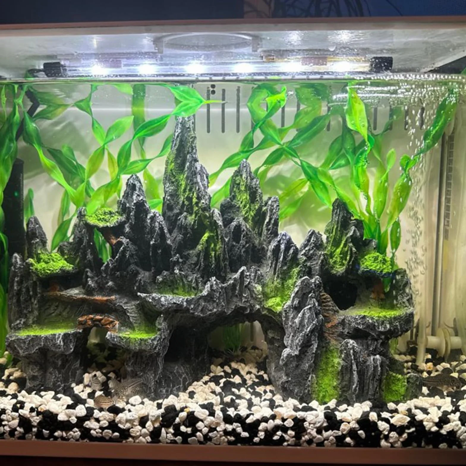 Grande décoration d’Aquarium en Rocher avec Grotte PakyKai