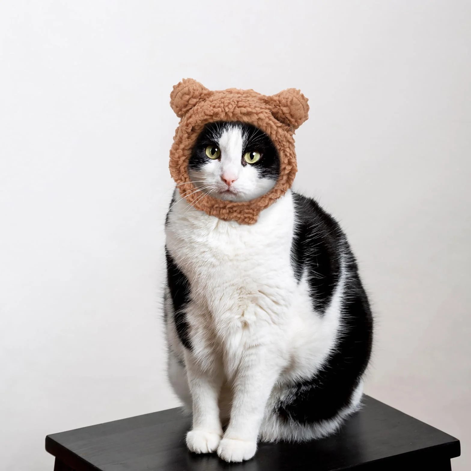 Bonnet d'hiver mignon pour chats chaud doux réglable marron