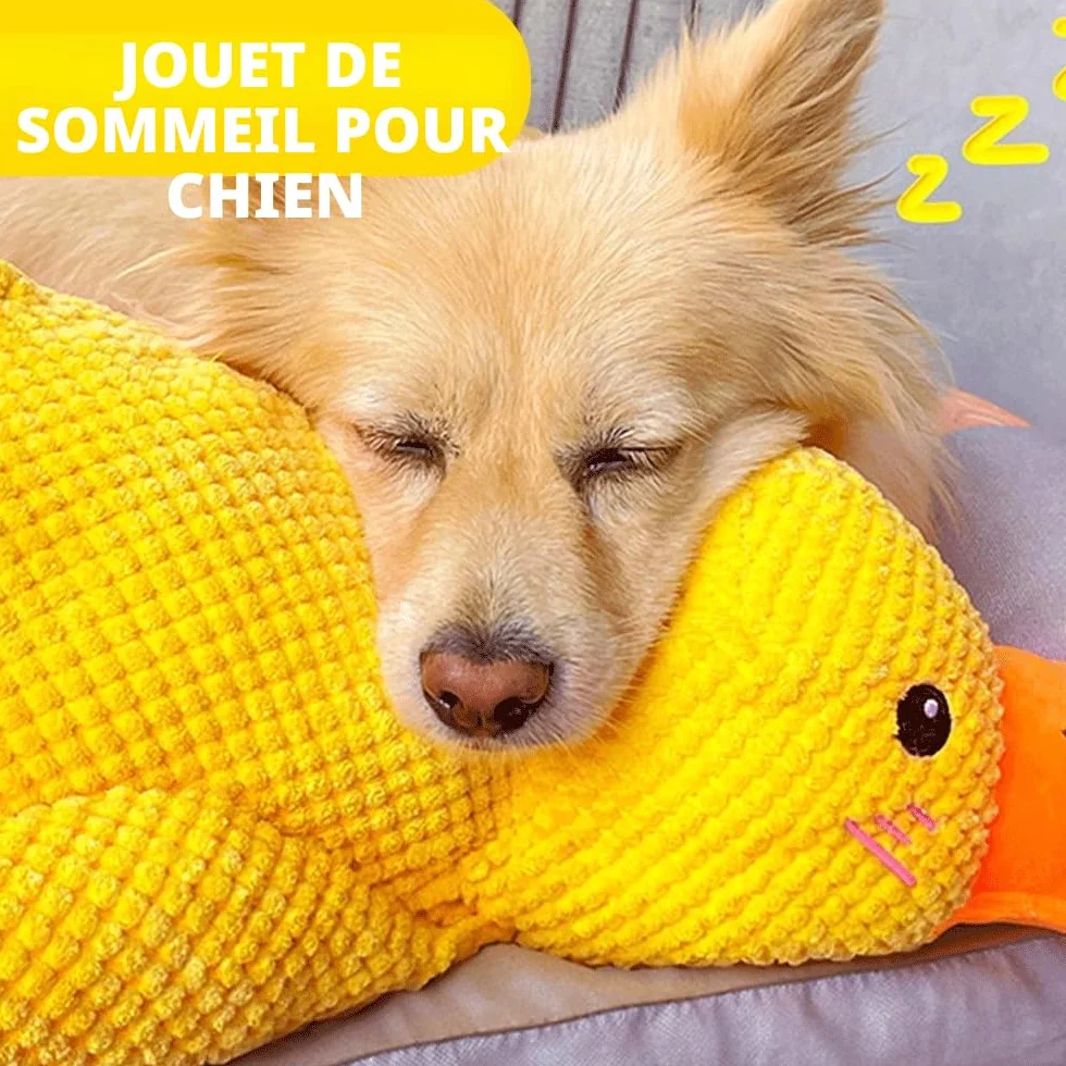 Grand Jouet en Peluche pour Chien 35 cm Canard couineur Doux et résistant