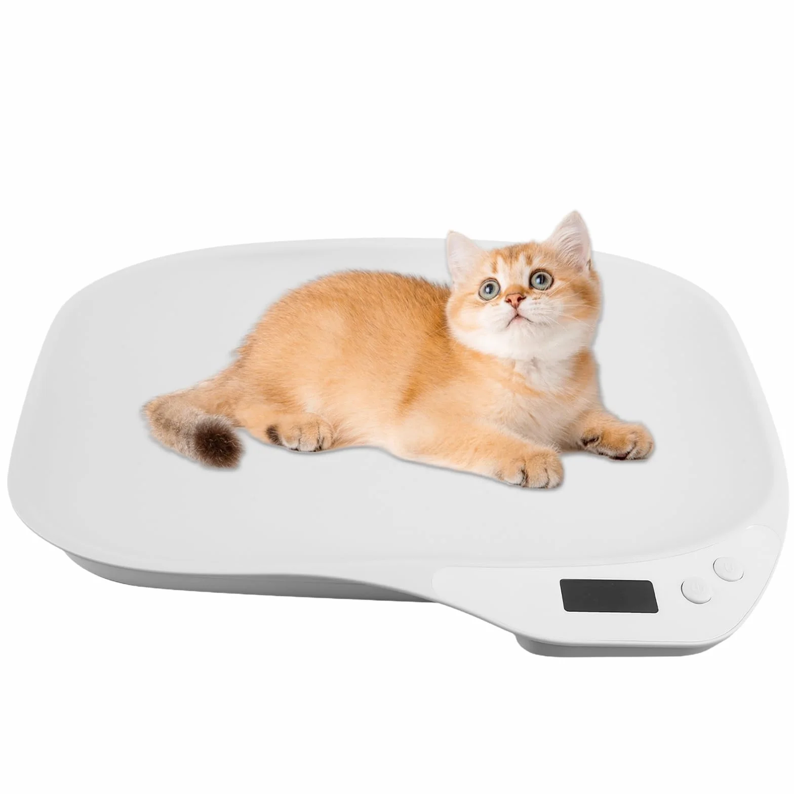 Balance numérique pour petits animaux 15 kg ±1 g avec écran LCD