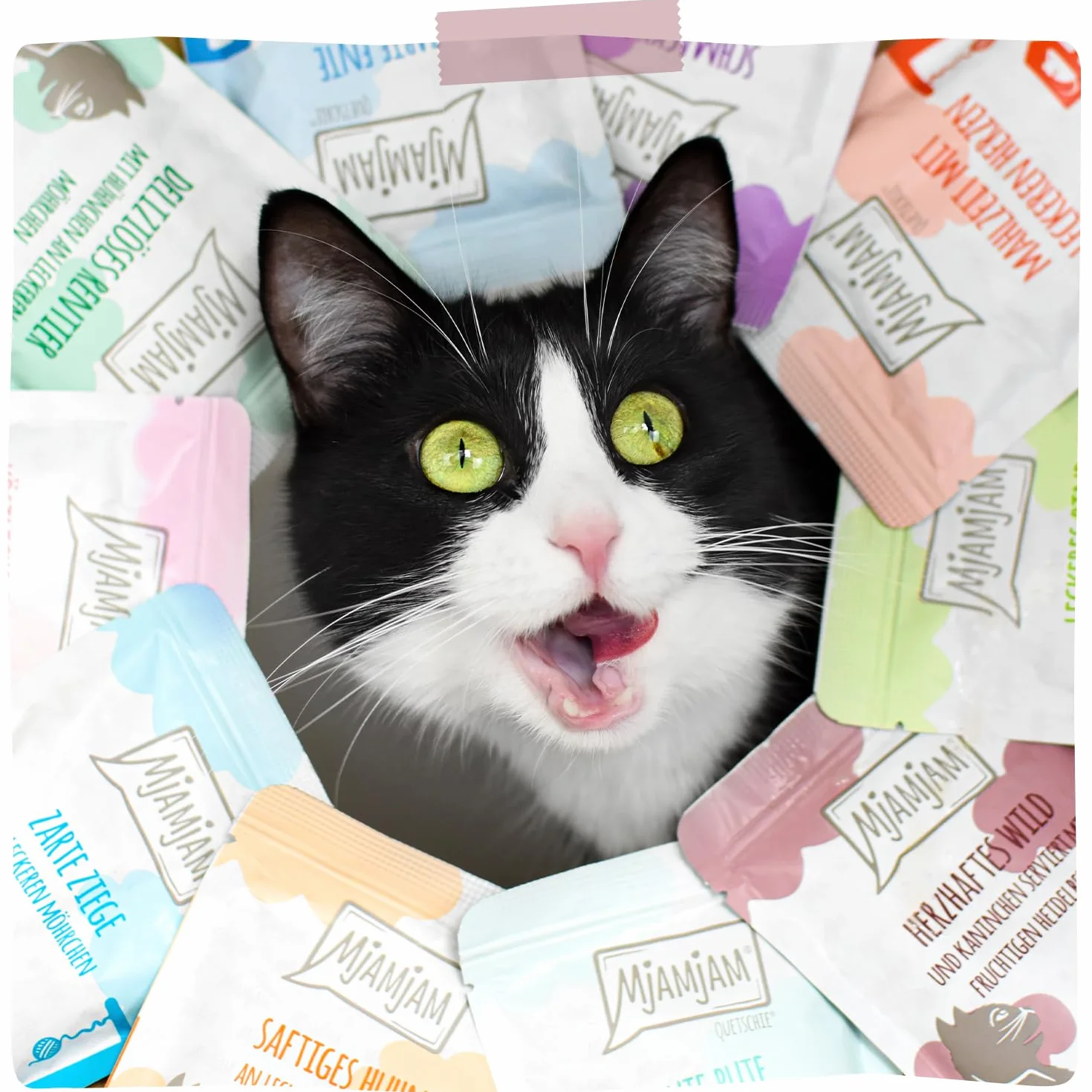 MjAMjAM - nourriture humide premium pour chats - gibier copieux et lapin aux myrtilles fruitées, paquet de 6 (6 x 200 g), sans céréales avec supplément de viande
