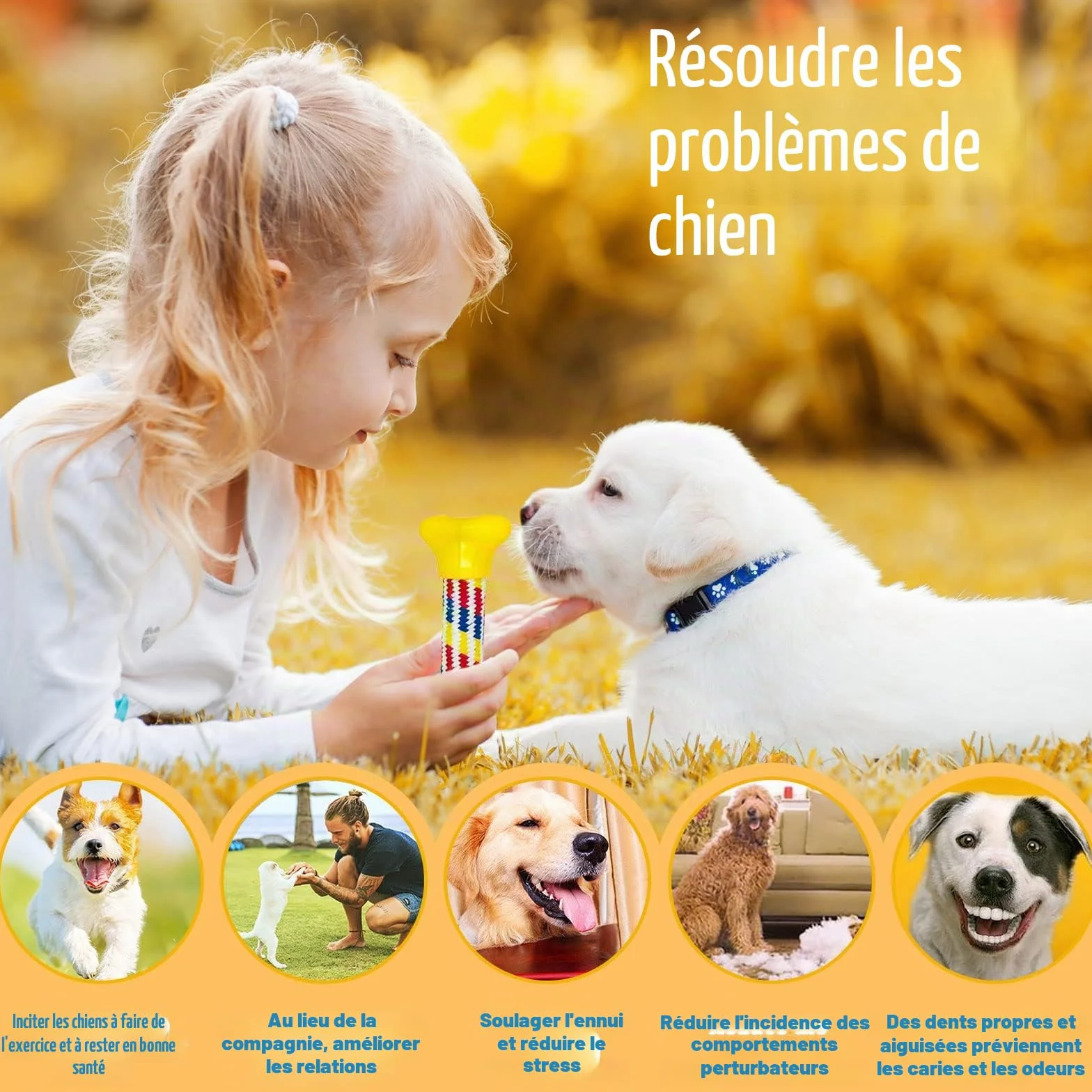 Lot de 20 jouets pour chien - Corde interactive - Balle en corde - Dents robustes - Jouet durable pour chiens de petite et grande taille