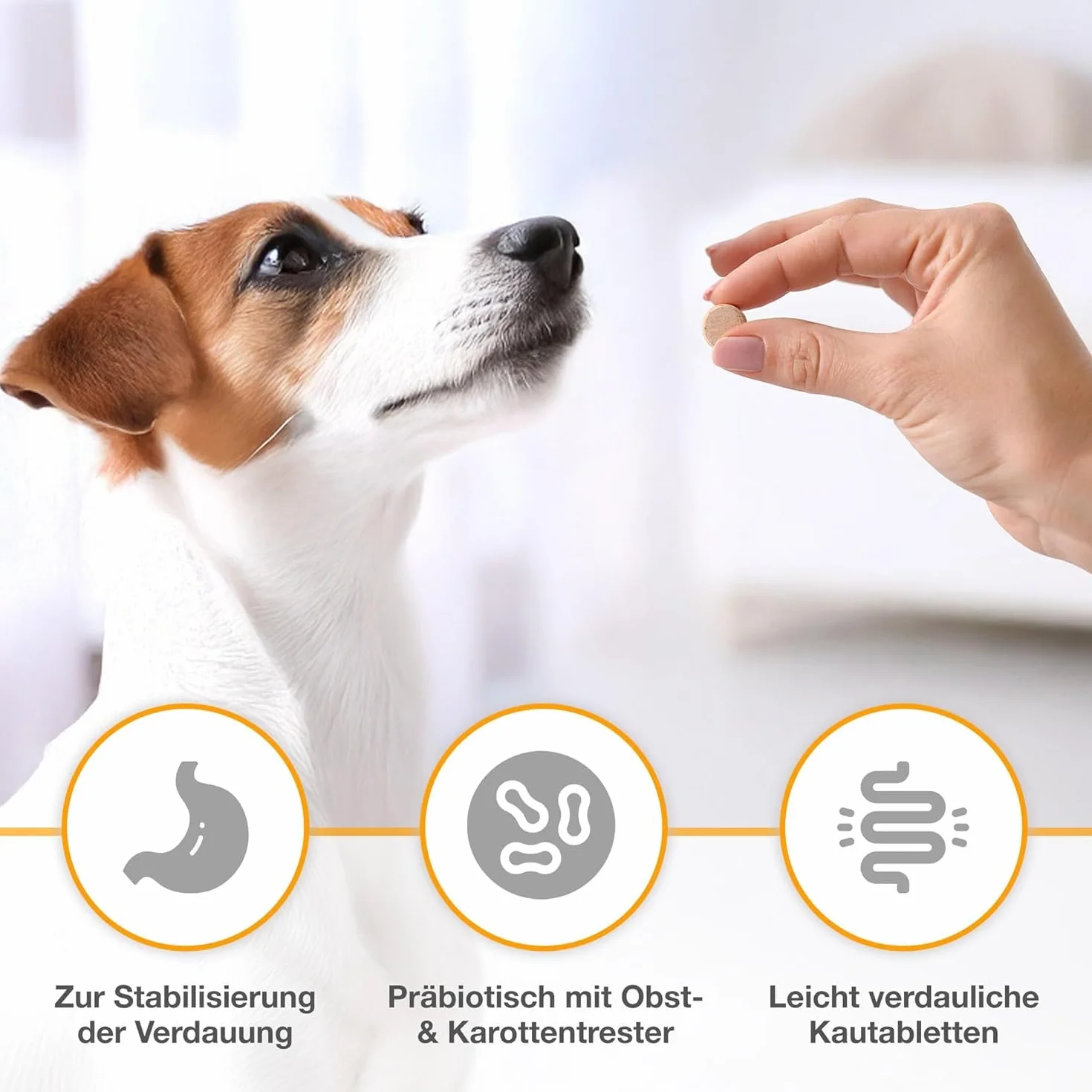 alfavet Dia Tab complément alimentaire diététique pour chiens et chats comprimés à mâcher diarrhée vomissements 6 x 5,5 g