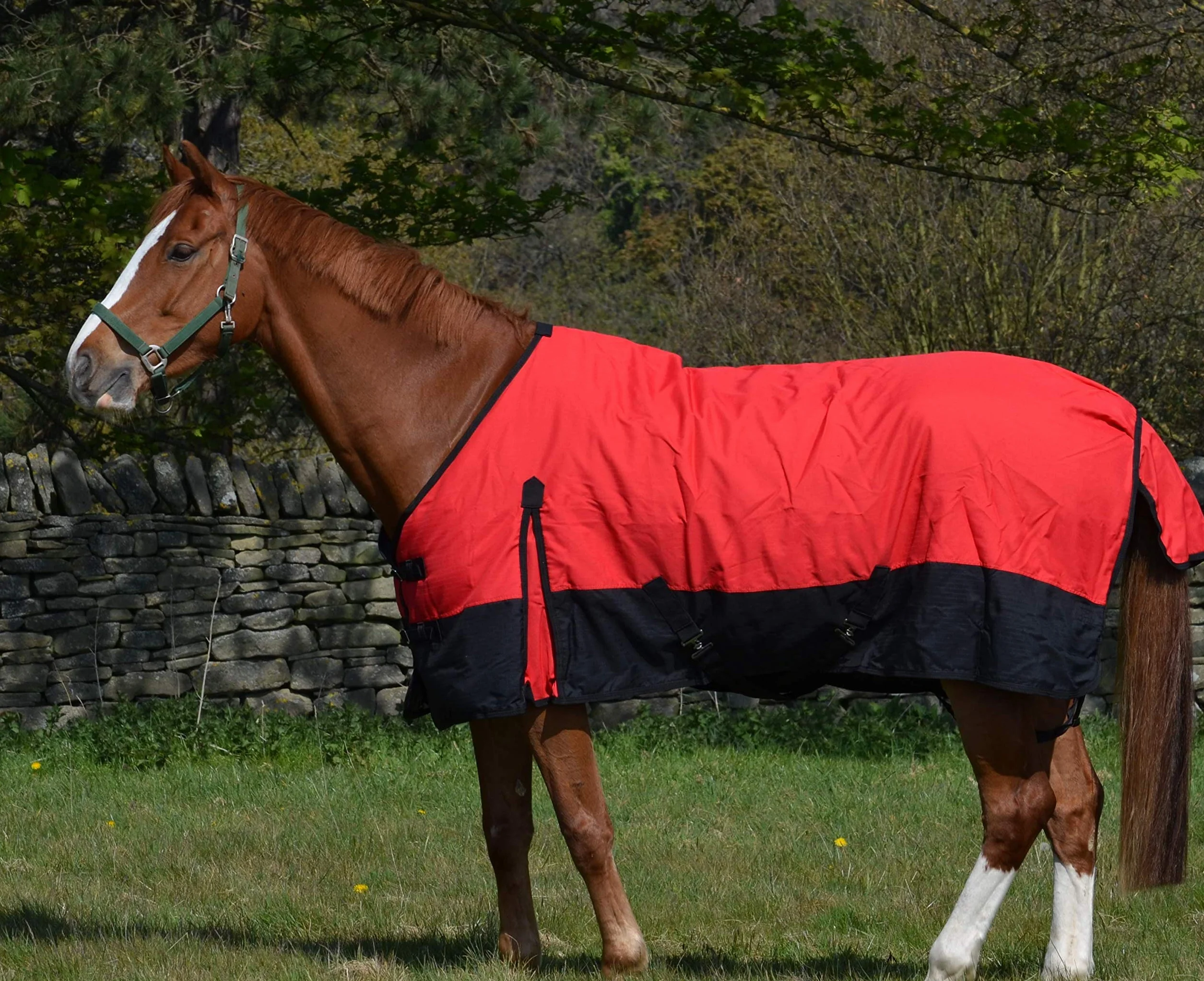600d - Tapis imperméable léger pour cheval (100 g, col standard, 100 g)
