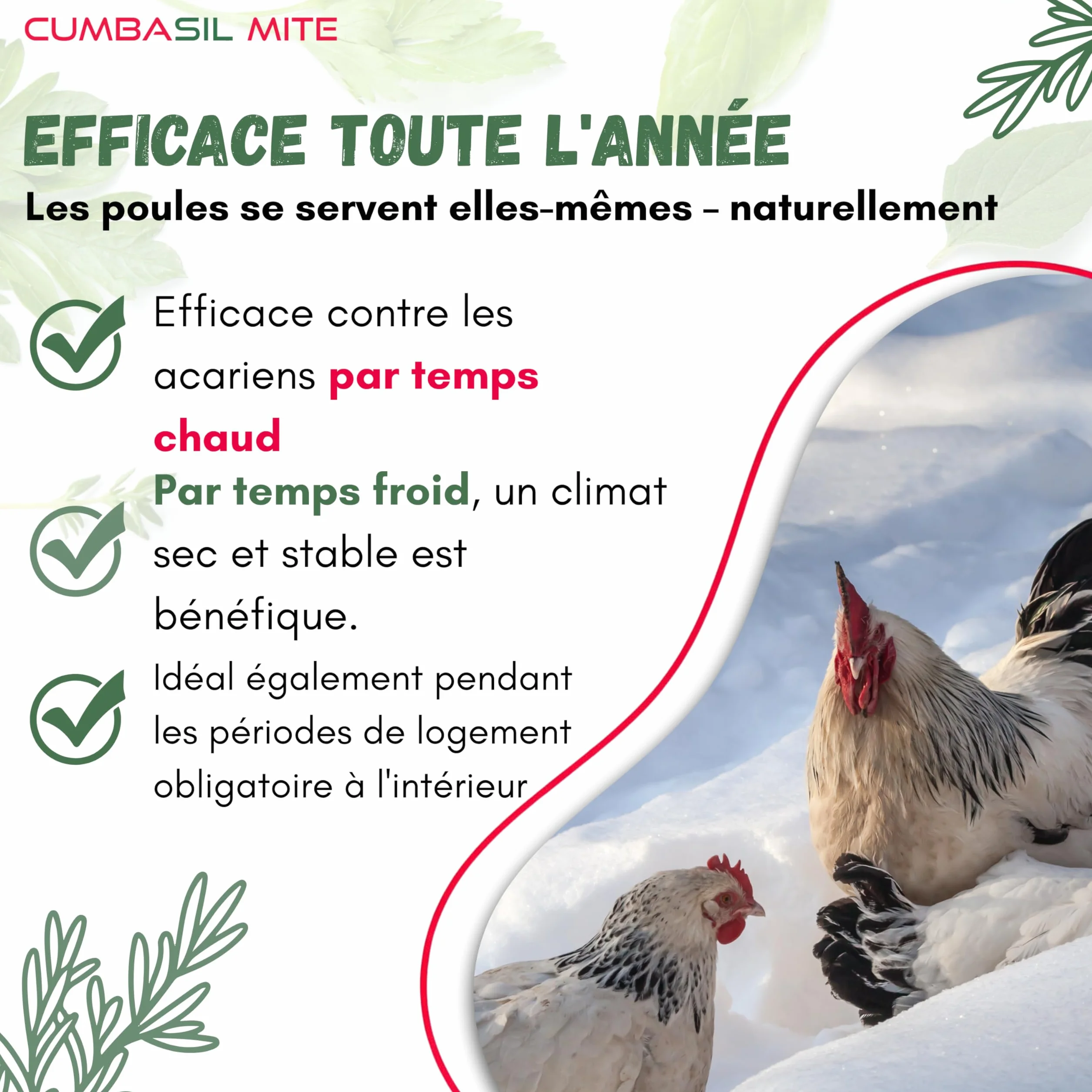 Lot de 3 bains de poussière pour poules 25 kg anti-acariens poudre naturelle