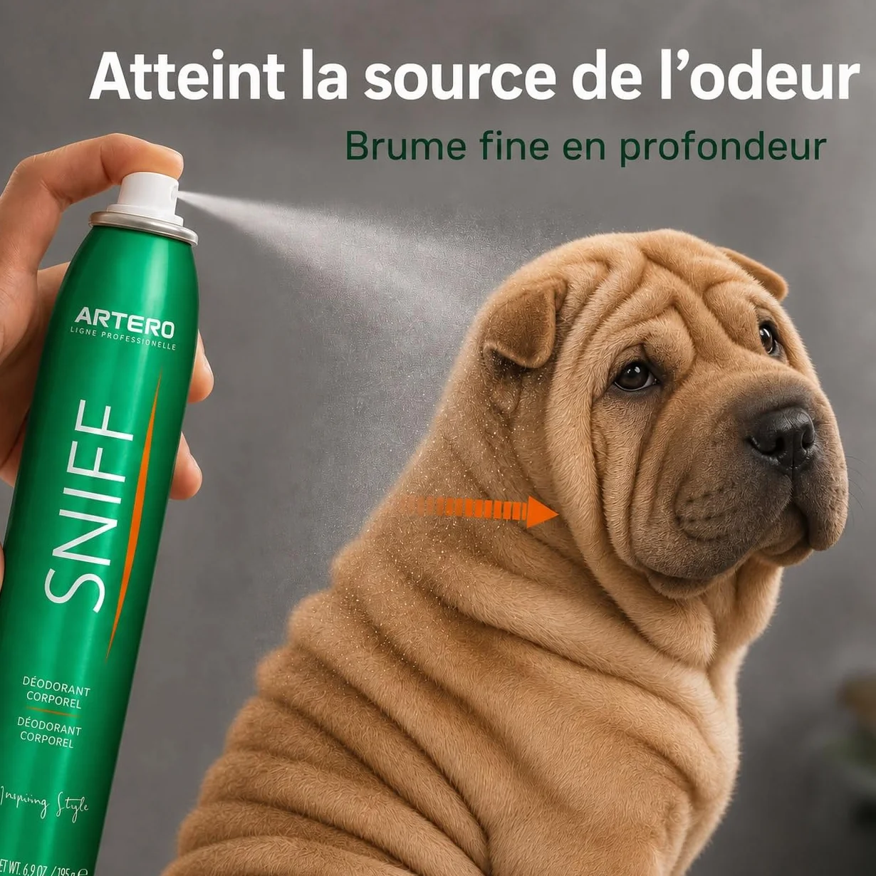 ARTERO Sniff Désodorisant pour Chiens 300ml - Élimine Mauvaises Odeurs, Spray Corps Longue Durée, Vegan sans Parabènes