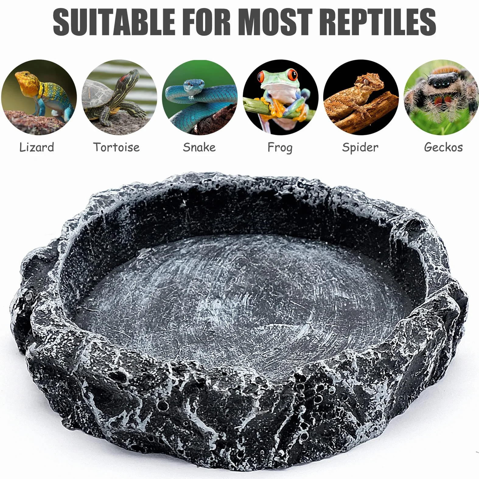Bols à Eau pour Reptiles, Mangeoire Tortue, Bac Résine Gecko Lézard