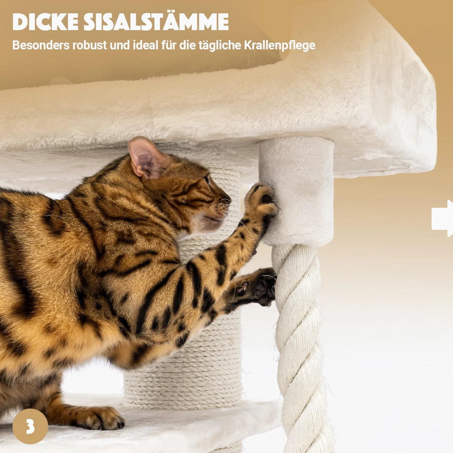 Petrebels Arbre à Chat Parklane 131 cm, Couleur Beige/Crème, Design Arbre à Chat avec Hamac