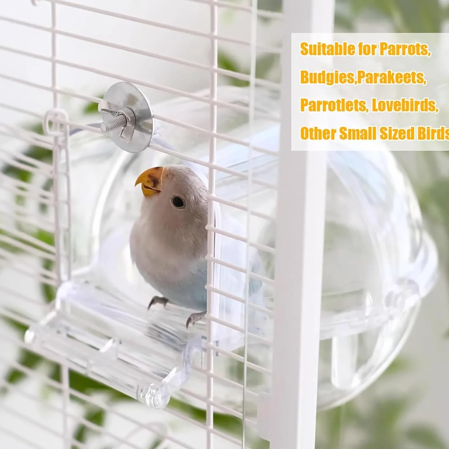 Baignoire pour Oiseaux Transparente pour Cage et Perroquet