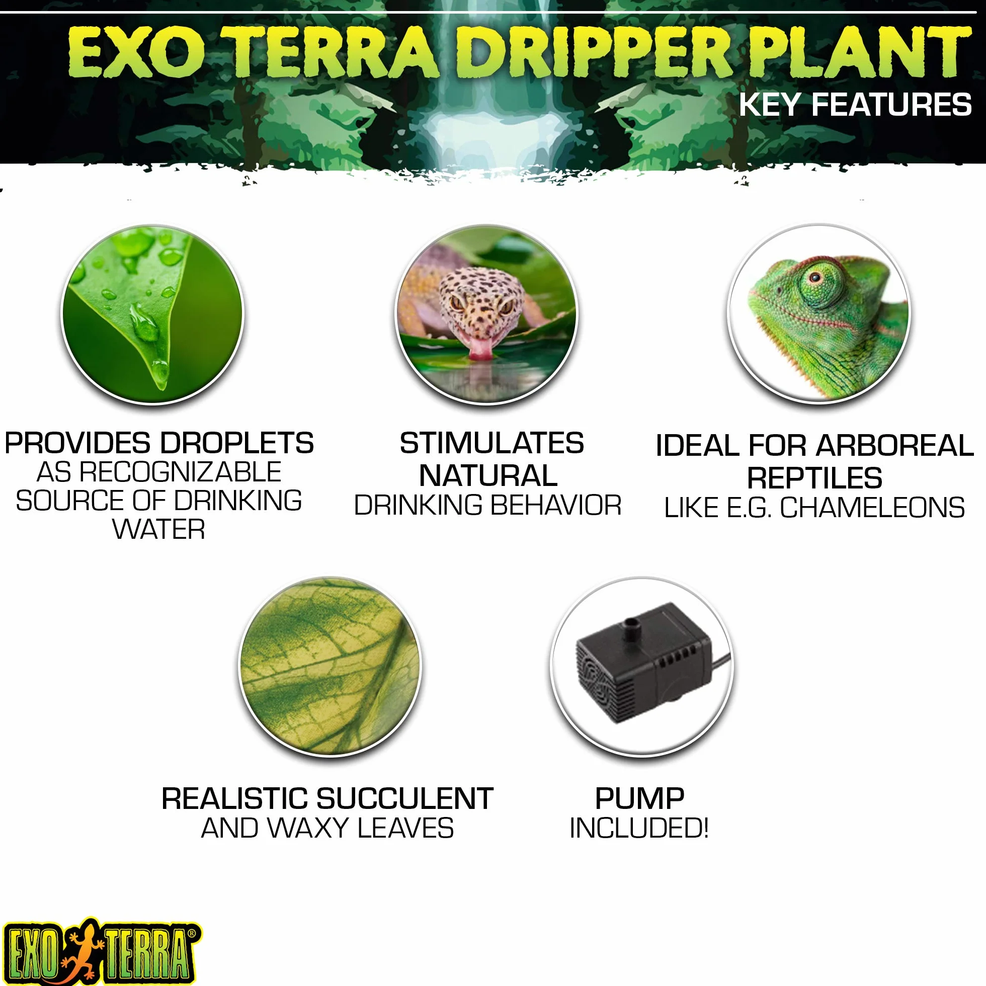 Exo Terra Water Dripper Plante de Décoration pour Reptile/Amphibien Taille L