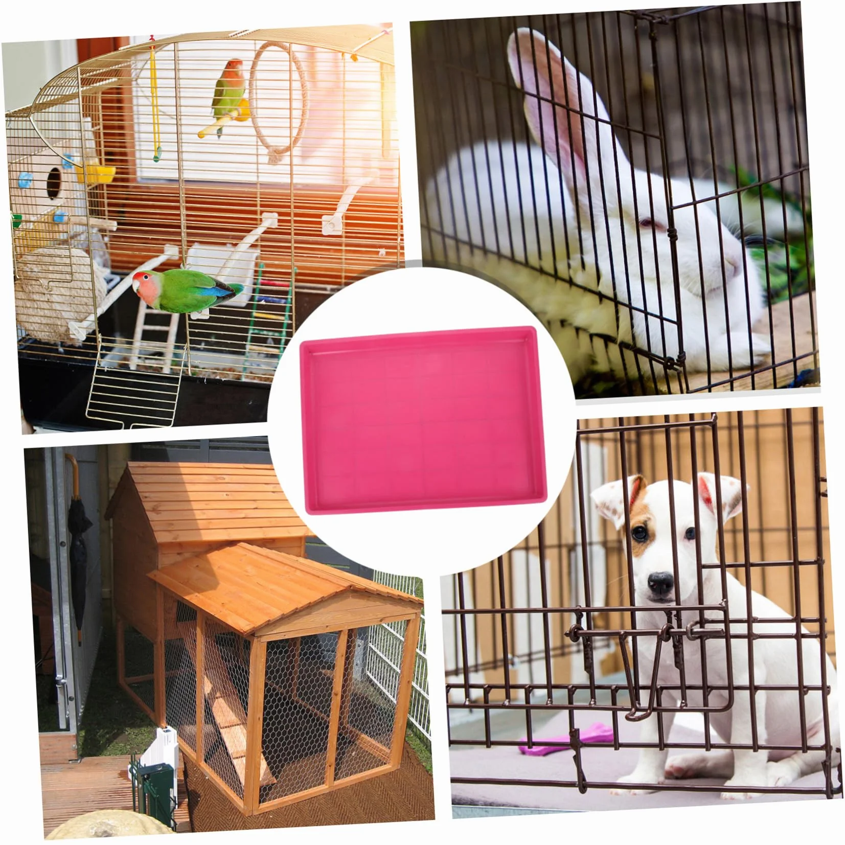 Bac de Fond de Cage en Plastique SUPVOX pour Cochons d'Inde et Poussins