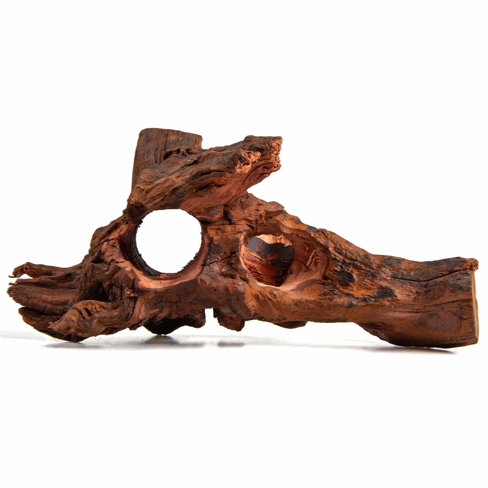 Bois flotté poreux naturel pour aquarium aquascaping avec trous tunnels cachettes