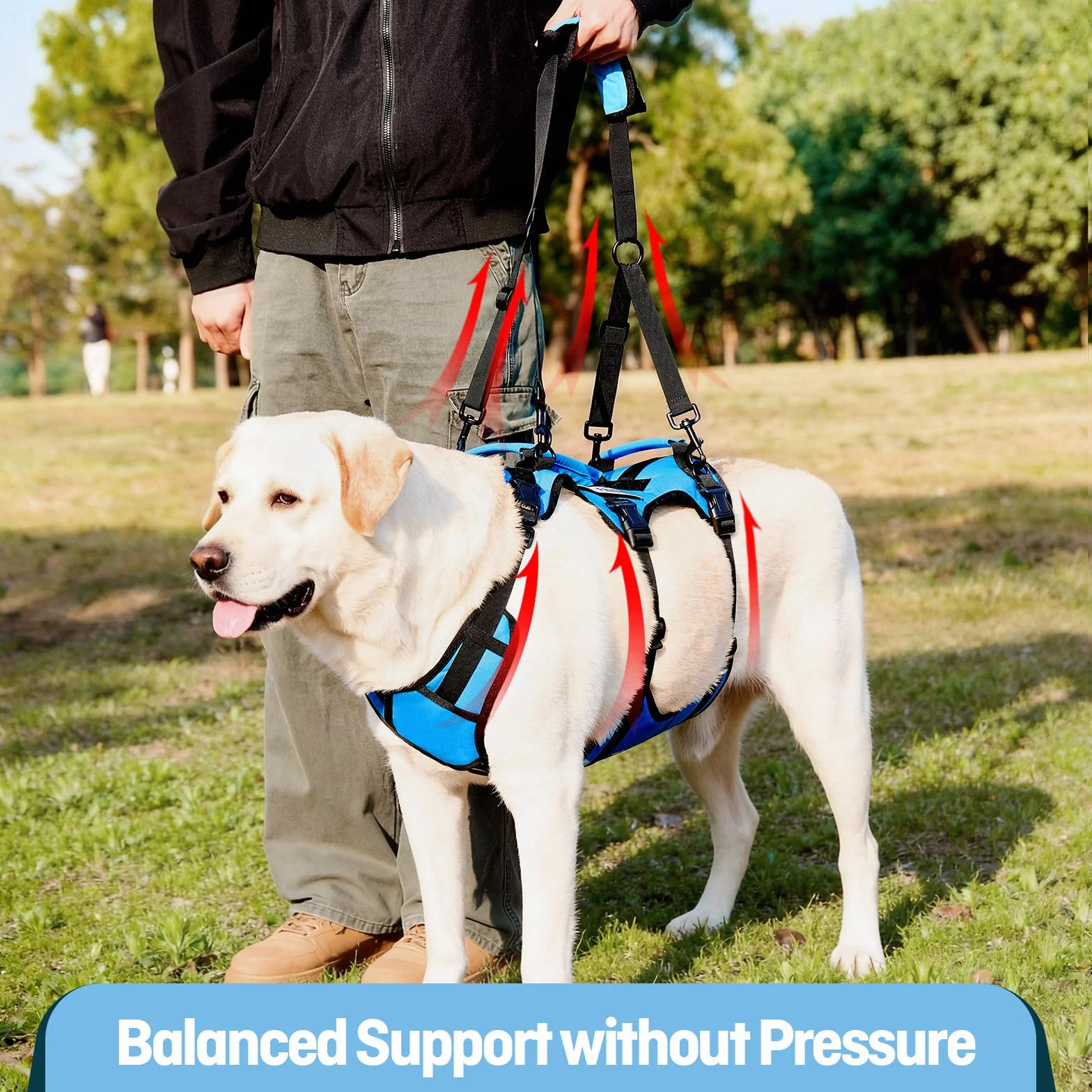 Harnais de Levage pour Grand Chien, Soutien Complet avec 3 Poignées, Sangle d'Épaule, Aide à la Marche pour Chiens Seniors, Arthrite, Bleu, XL