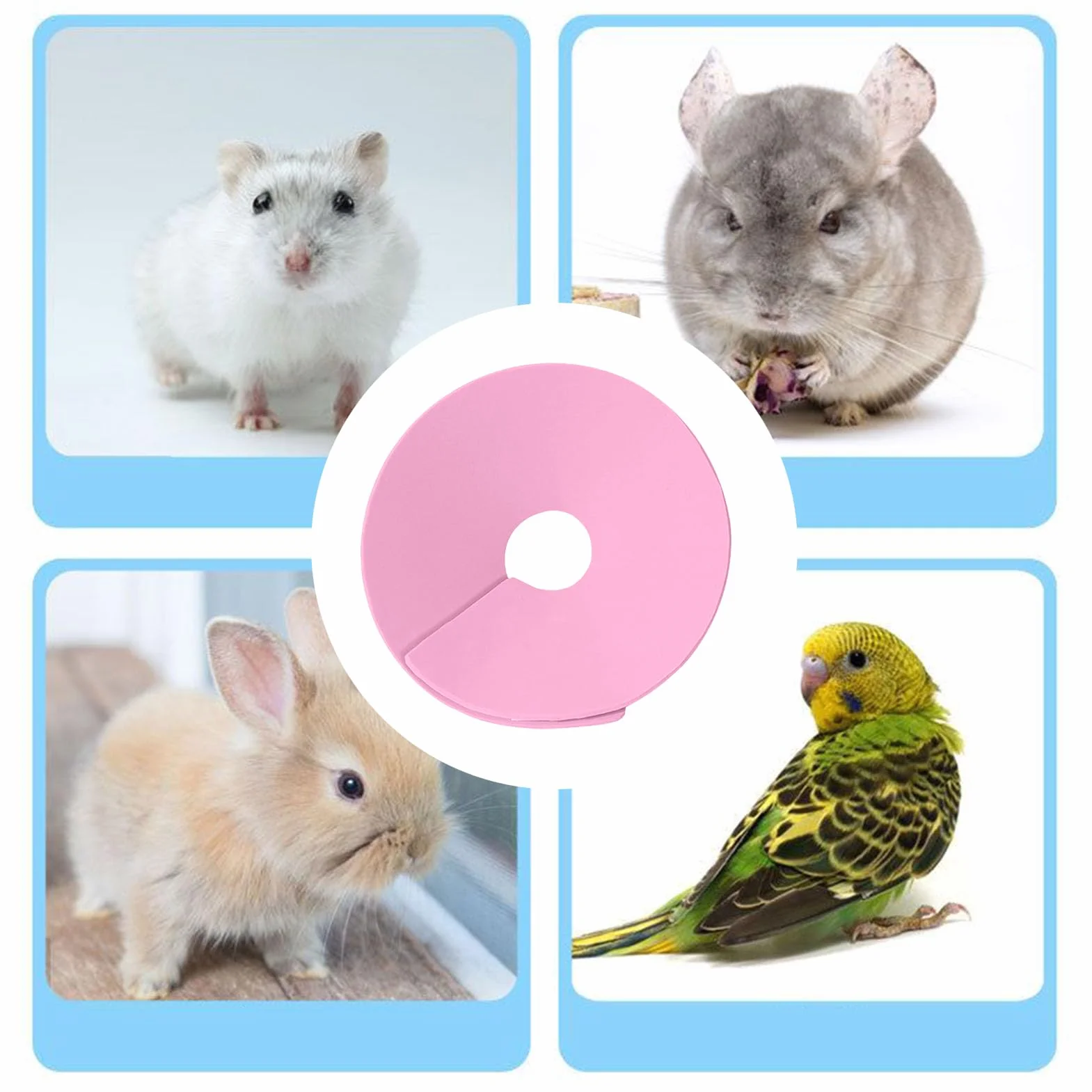 Collier de récupération pour hamster – Collier de protection anti-léchage pour lapin | Collier réglable anti-morsure pour animal de compagnie pour la prévention de la perte de poils des