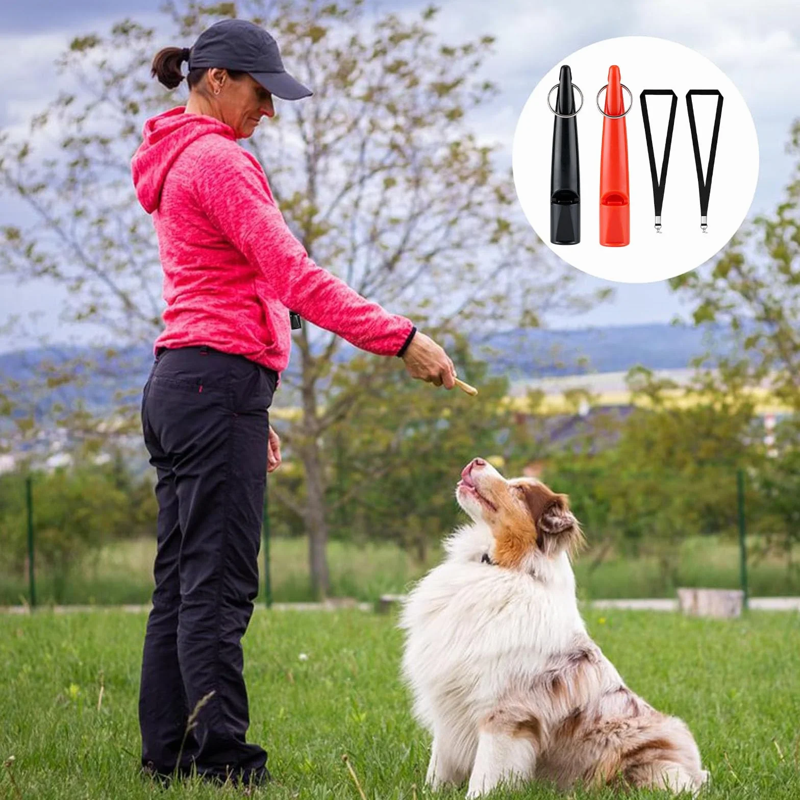 Sifflet pour Chien Anti Aboiement Ultrason Professionnel 2 Pièces