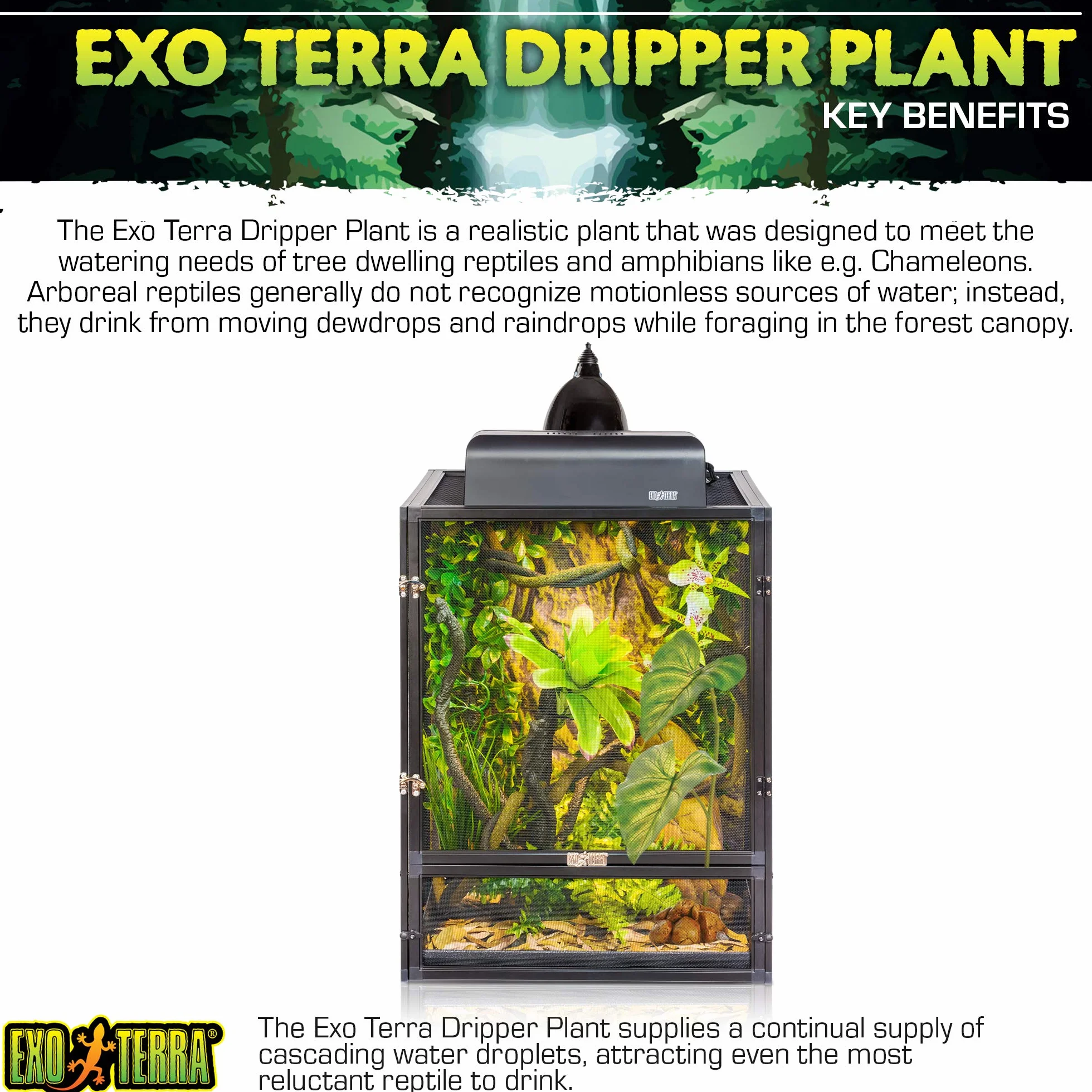 Exo Terra Water Dripper Plante de Décoration pour Reptile/Amphibien Taille L