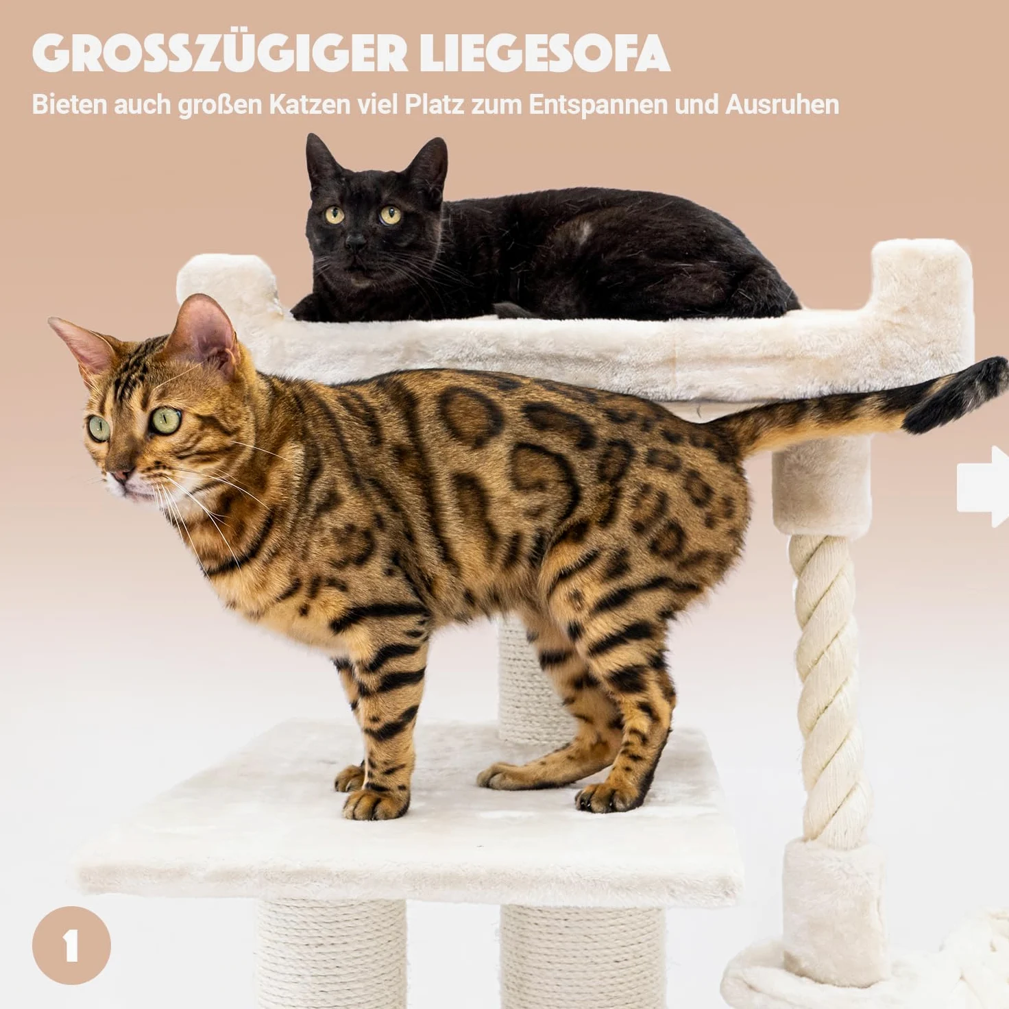 Petrebels Arbre à Chat Parklane 131 cm, Couleur Beige/Crème, Design Arbre à Chat avec Hamac
