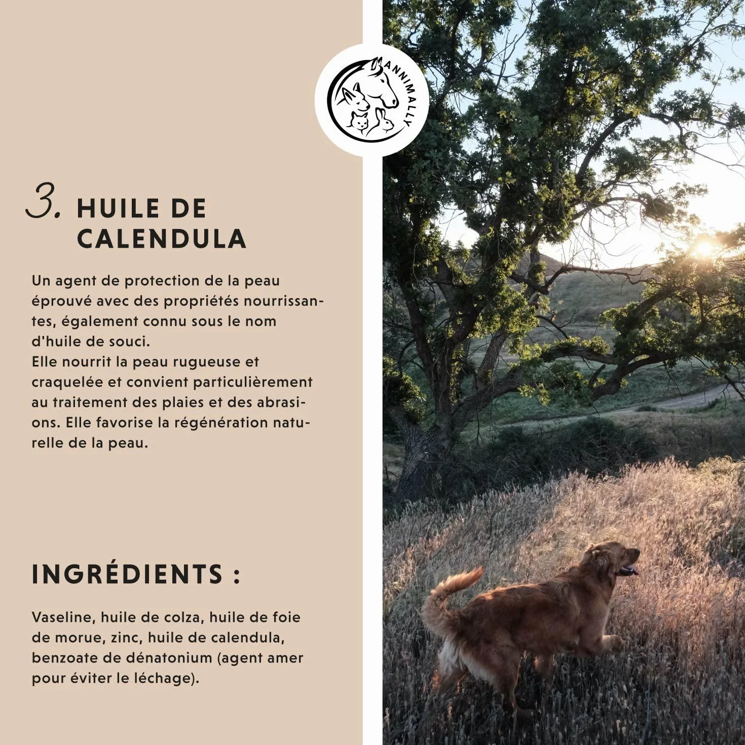 Pommade au Foie de morue et au Zinc pour Chiens 50g - Baume pour blessures, eczéma et escarres