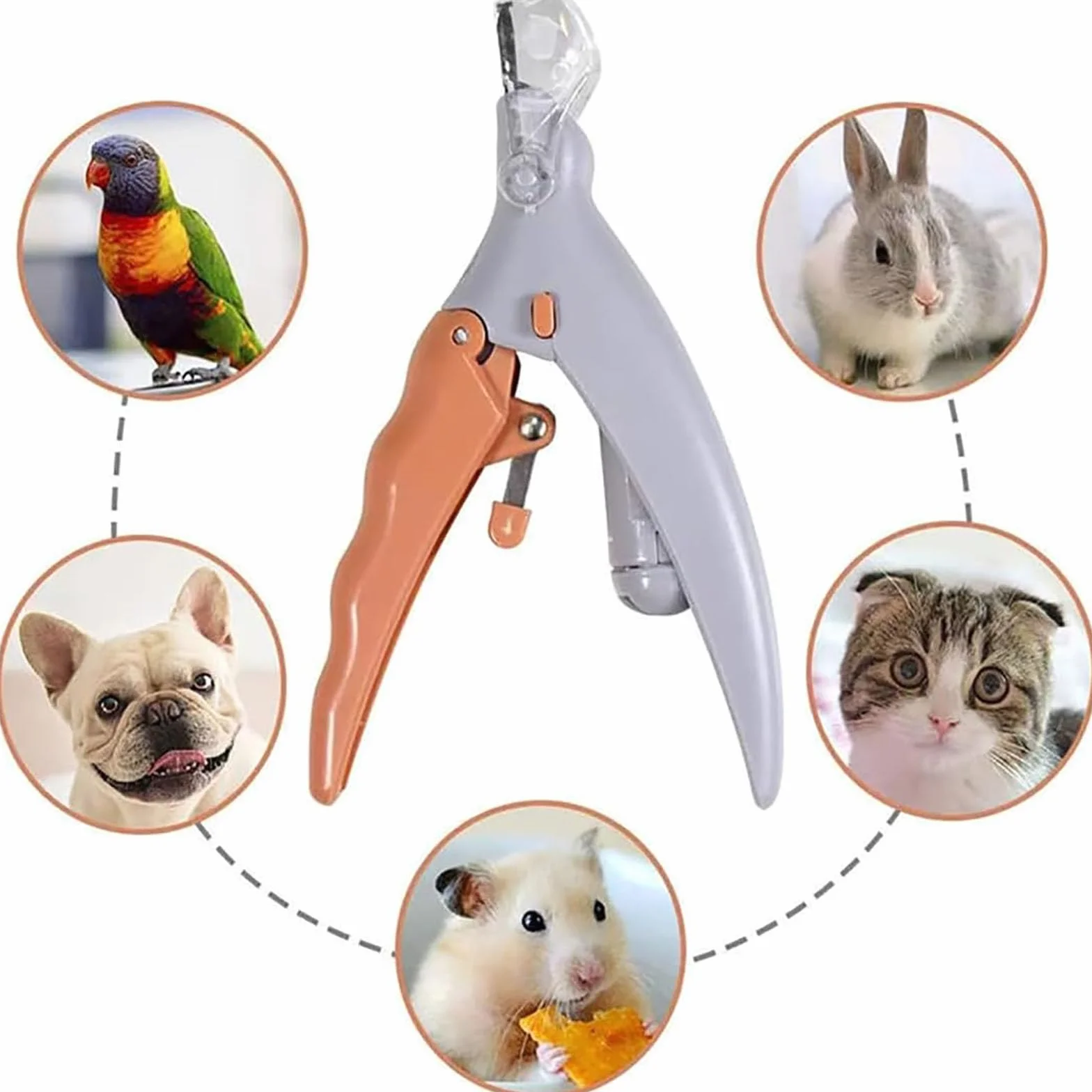 PawThentic Coupe-Ongles pour Animaux de Compagnie LED Loupe PréciseClip 2 Pièces