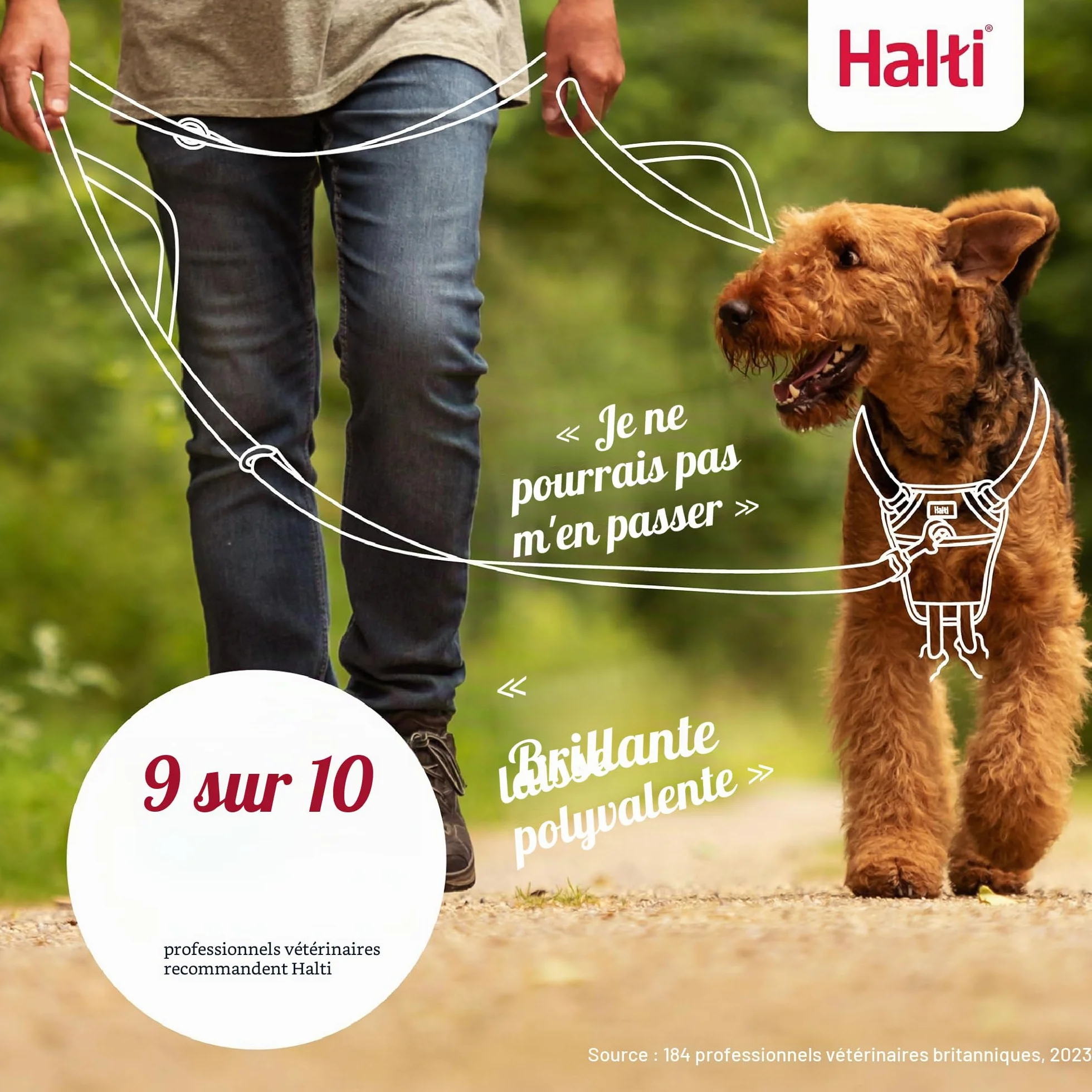 HALTI Laisse de Contrôle Noir 2m Double Extrémité Rembourrée pour Chien