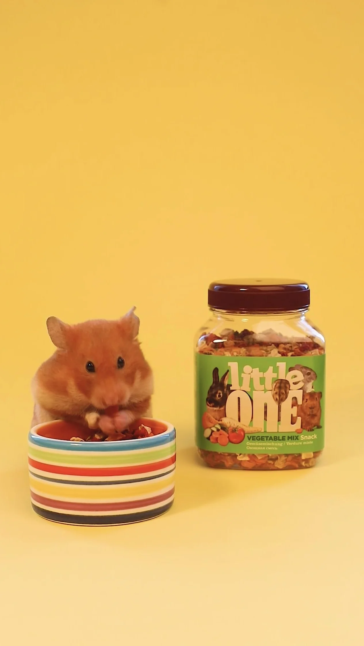 Little One Vegetable Mix Snack | Pack Double | 2 x 140 g | Aliment complémentaire pour rongeurs et Lapins Nains | Mélange composé de Sept Types de légumes séchés