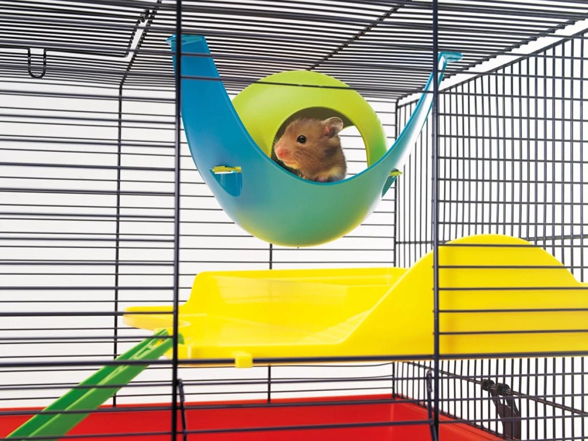 Savic Maisonnette pour Petits Animaux Plastique Sputnik Coloris aléatoire - M