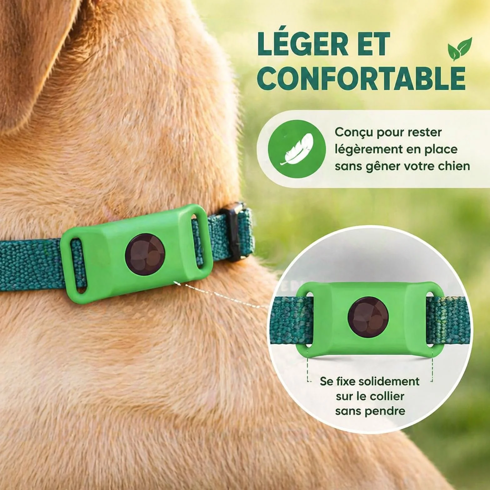 Pendentif Everly Chien - Nouveau Pendentif antiparasitaire Naturel pour Animaux 2026, Médaille de Collier Longue durée pour Une Protection Quotidienne, conçu pour Le Confort des promenades (Green)