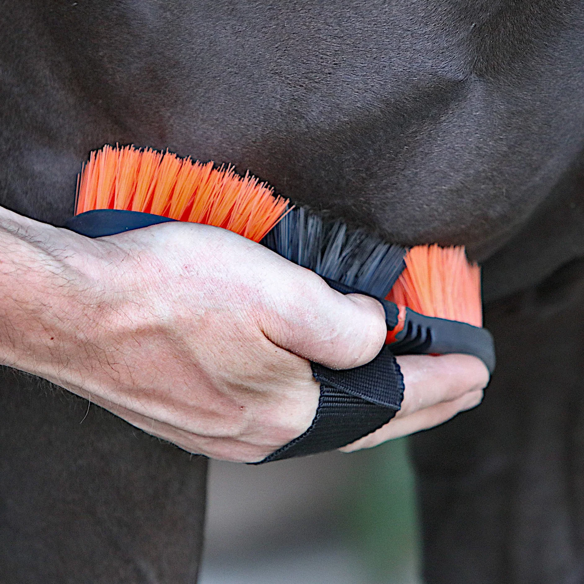Brosse pour chevaux soin du pelage