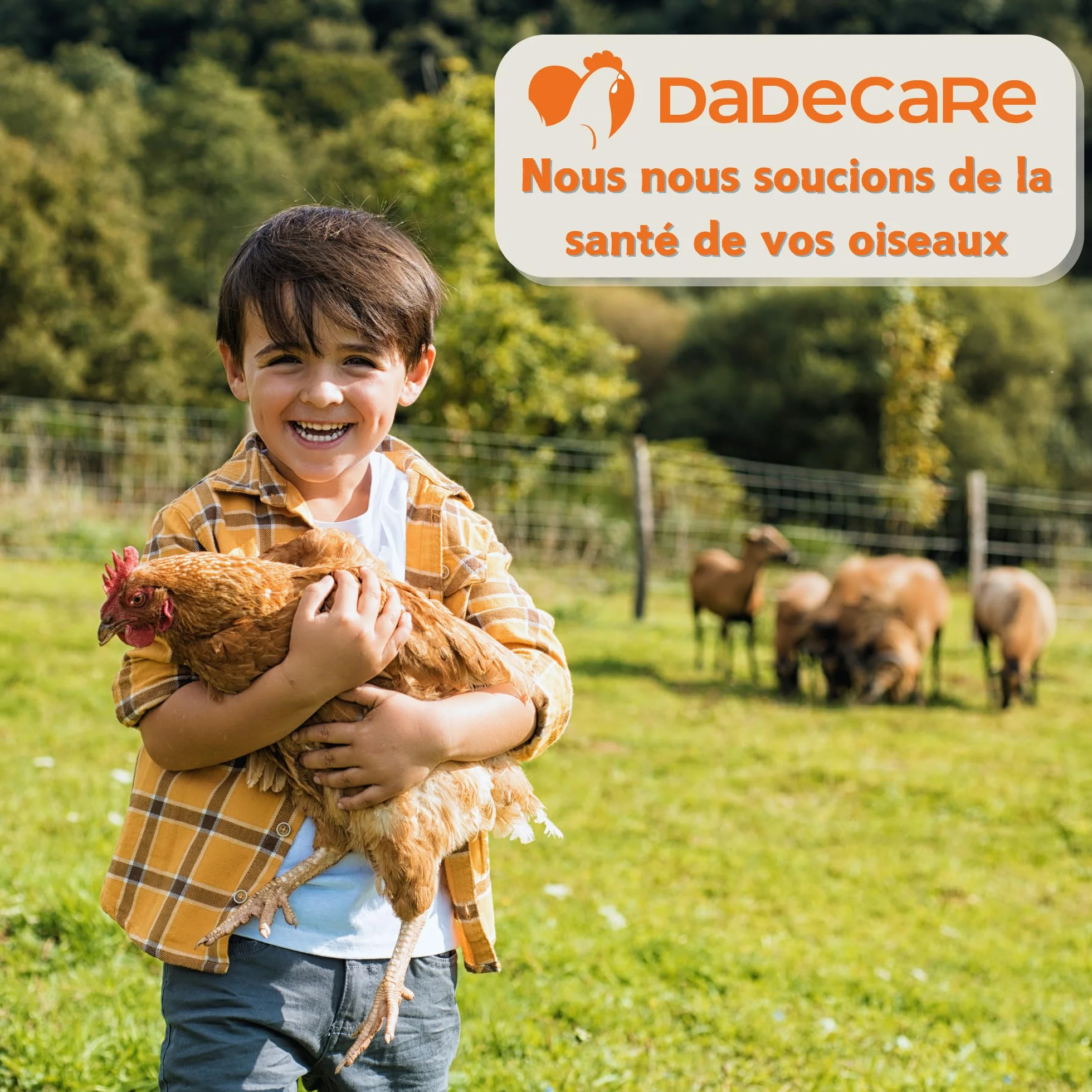 Promoteur multivitaminé 1L pour volailles avec acides aminés et antioxydants - Vitamines liquides