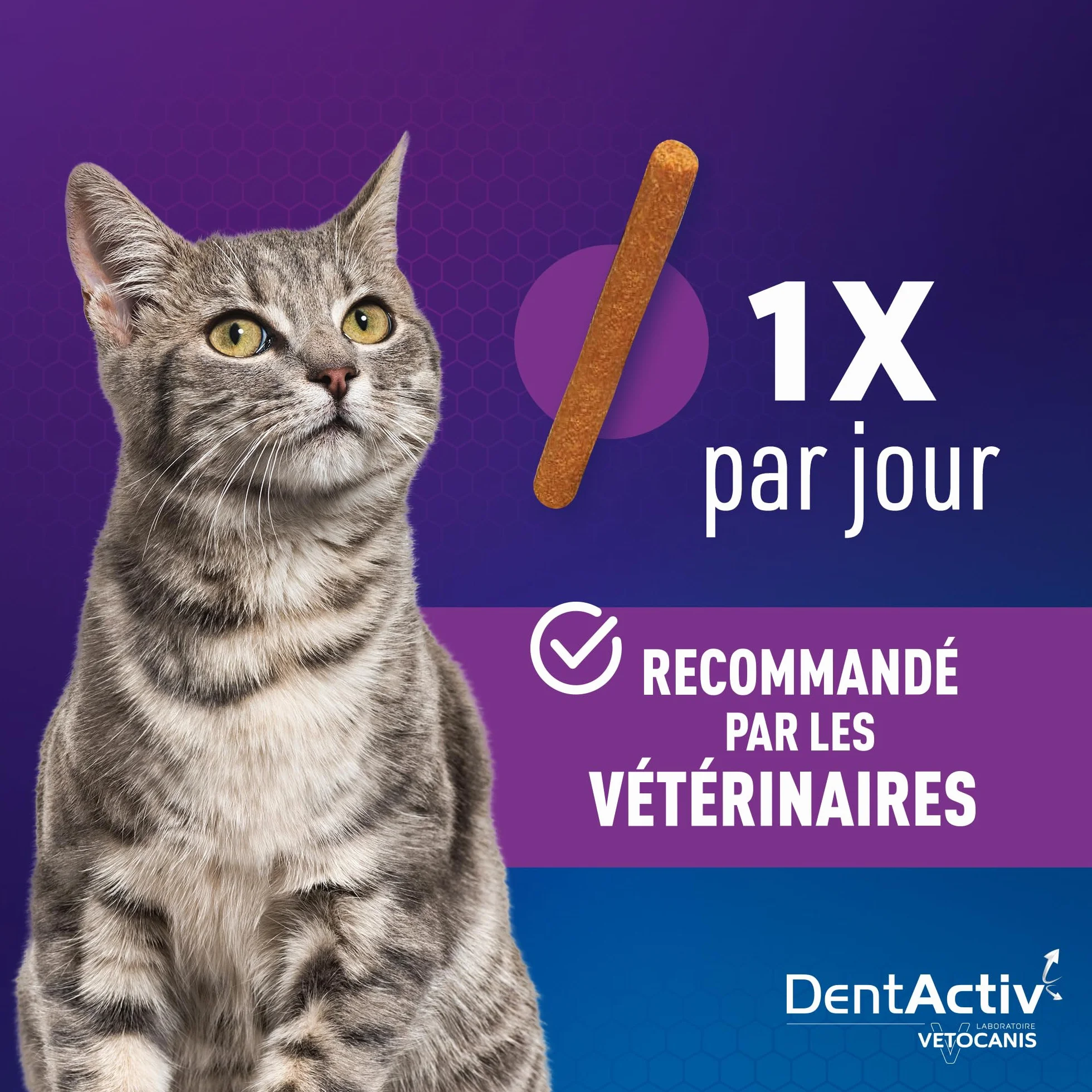 Vetocanis Dentactiv Stick Dentaire Friandises Chat Hygiène Santé 85% Poulet Anti-Plaque
