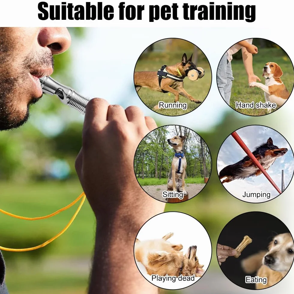 Sifflet pour Chien DONGKER en Titane 120 DB avec Fermoir de Suspension