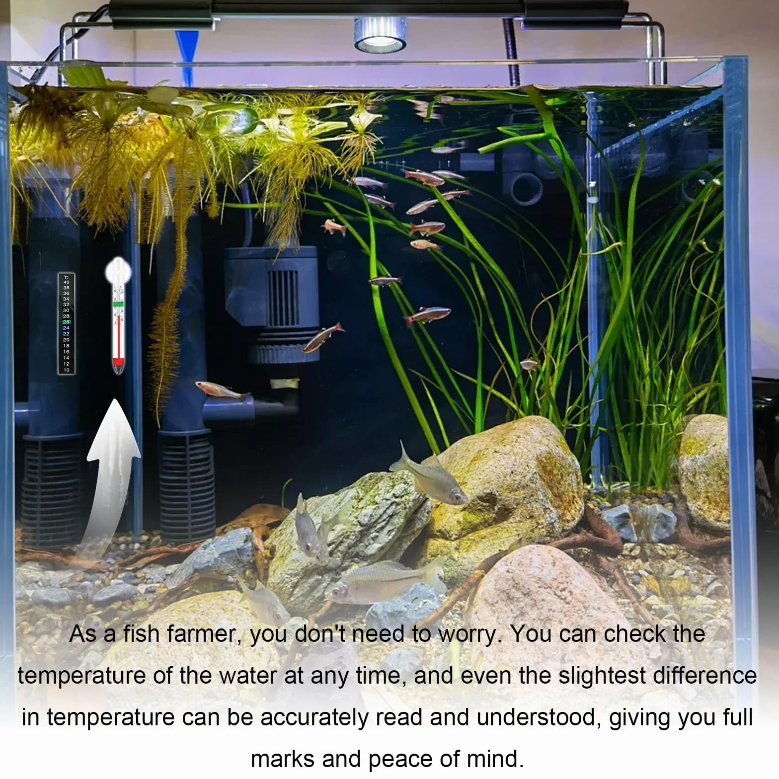 Thermomètre Aquarium Autocollant 2 Pièces + 3 Pièces, Mesure Précise, Affichage Clair, pour Tortues Poissons