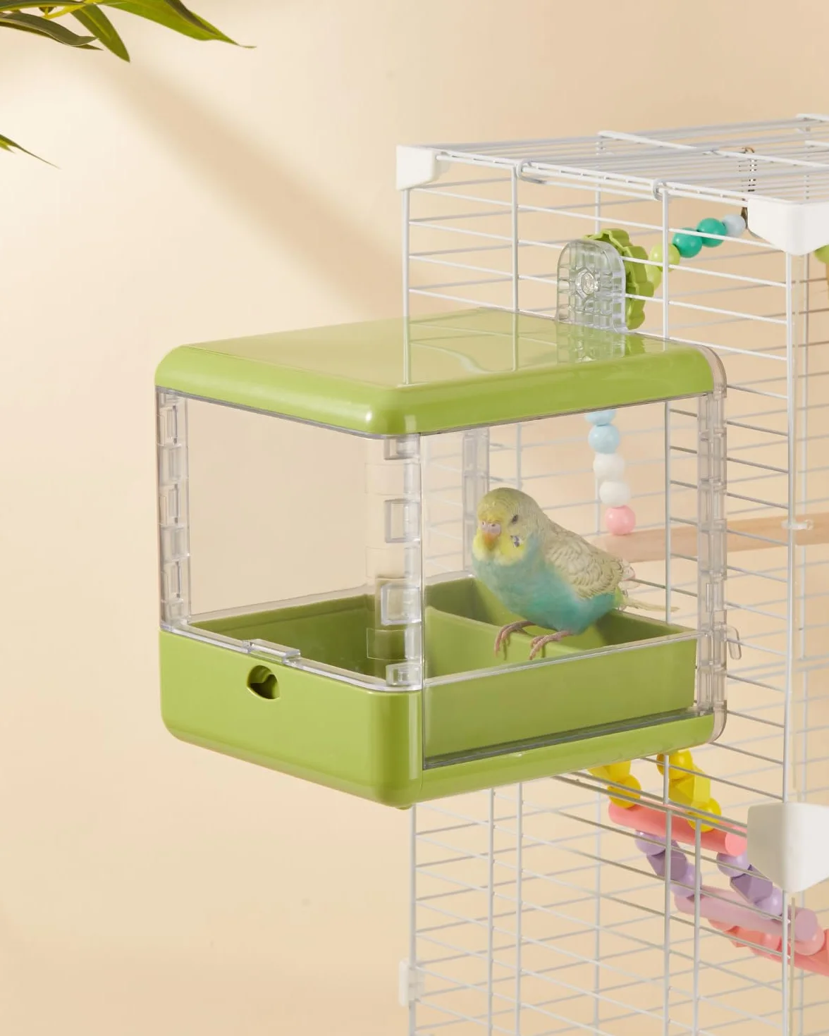 Bain d'oiseaux pour Cage, Bol Suspendu pour Oiseaux, Accessoires pour Cage à Oiseaux adaptés aux Oiseaux de Petite et Moyenne Taille, perroquets, inséparables, pinsons, perruches (Vert)
