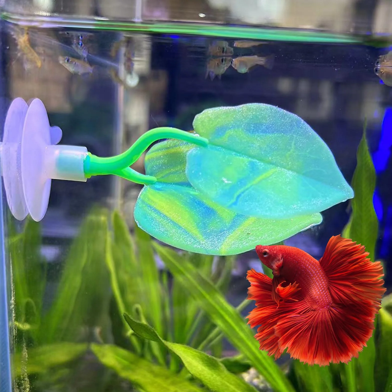 SLSON Betta Hamac Feuille de Lit Tapis de Repos Aquarium Decoration Plantes Silicone Ventouse Forte