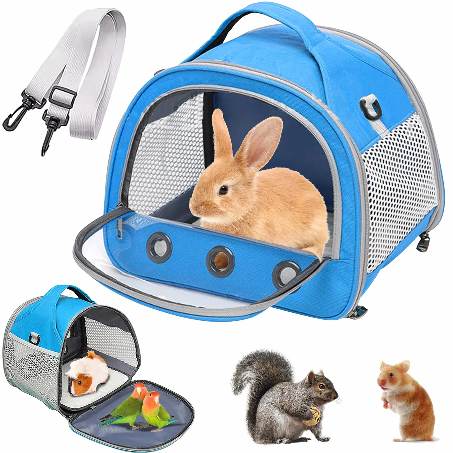 Sac De Transport pour Petits Animaux 30x27x21 cm Cage Portable Oiseaux Rats Bleu